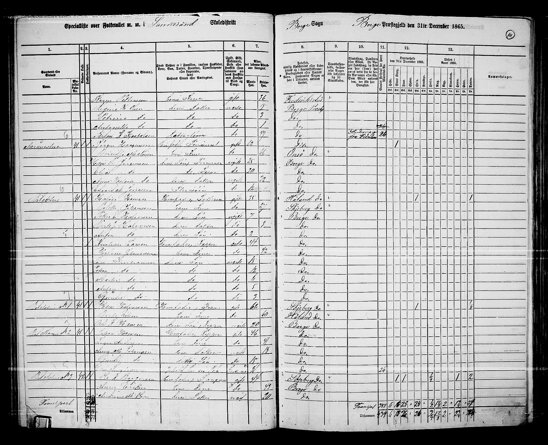 RA, 1865 census for Borge, 1865, p. 105