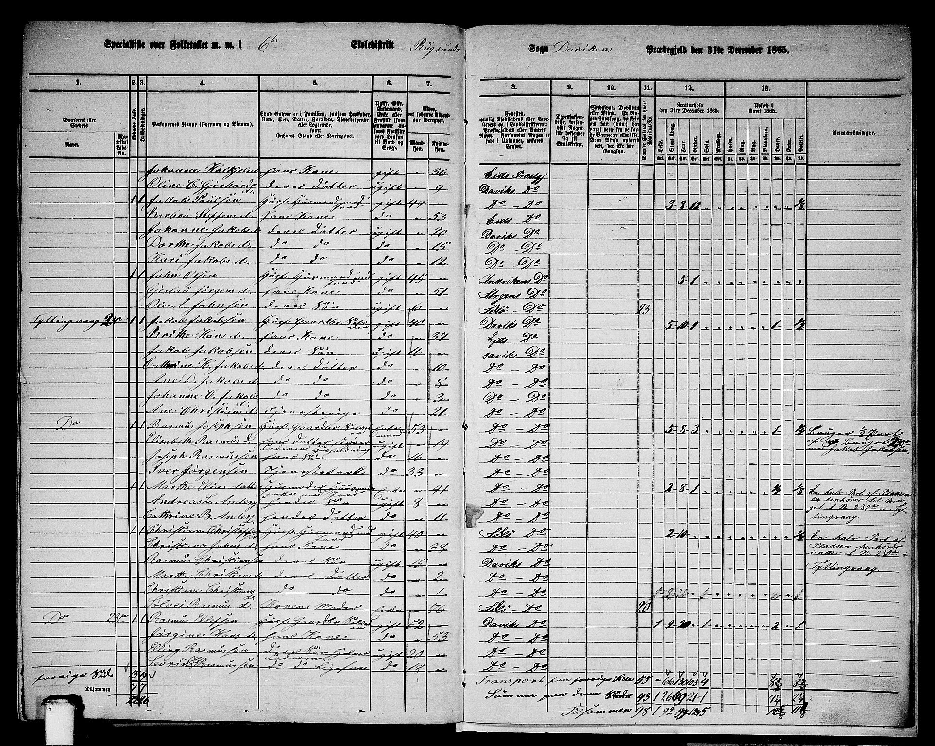 RA, 1865 census for Davik, 1865, p. 117