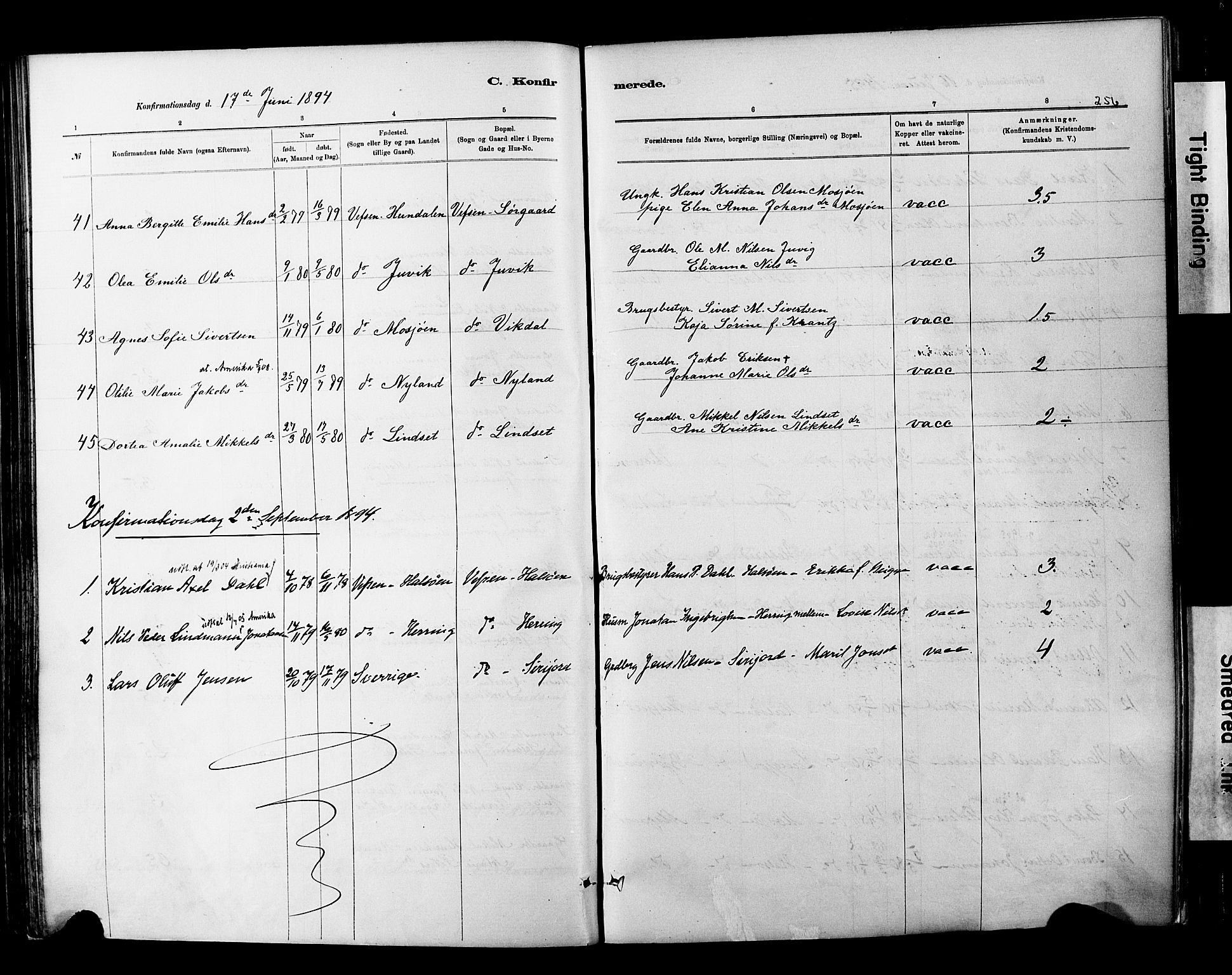 Ministerialprotokoller, klokkerbøker og fødselsregistre - Nordland, SAT/A-1459/820/L0295: Parish register (official) no. 820A16, 1880-1896, p. 256