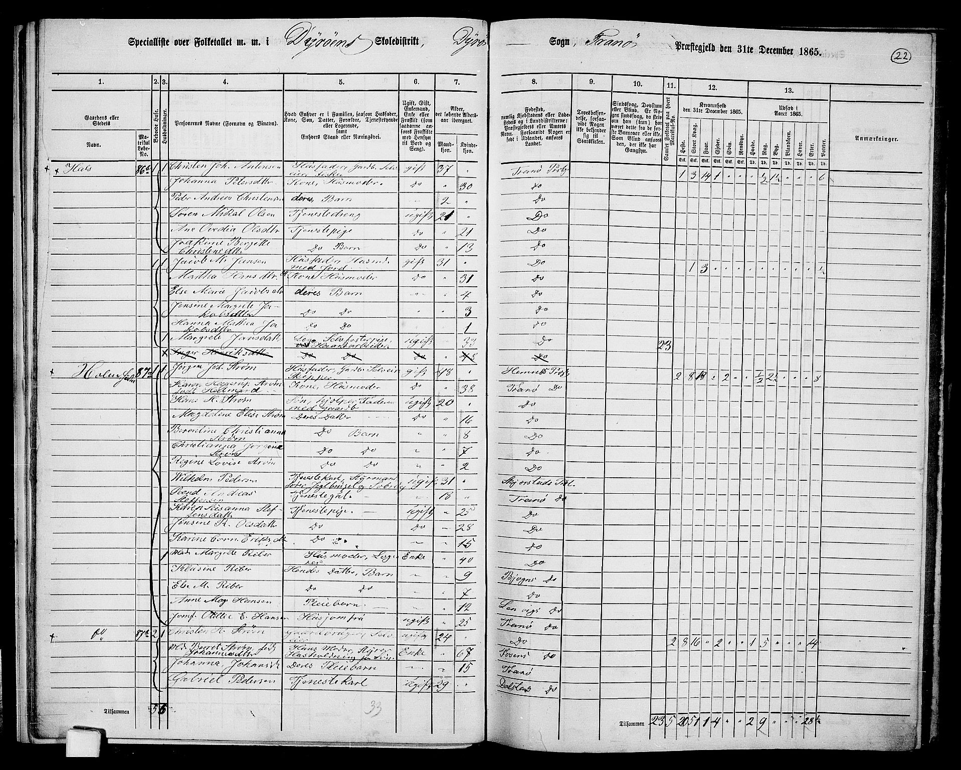 RA, 1865 census for Tranøy, 1865, p. 20