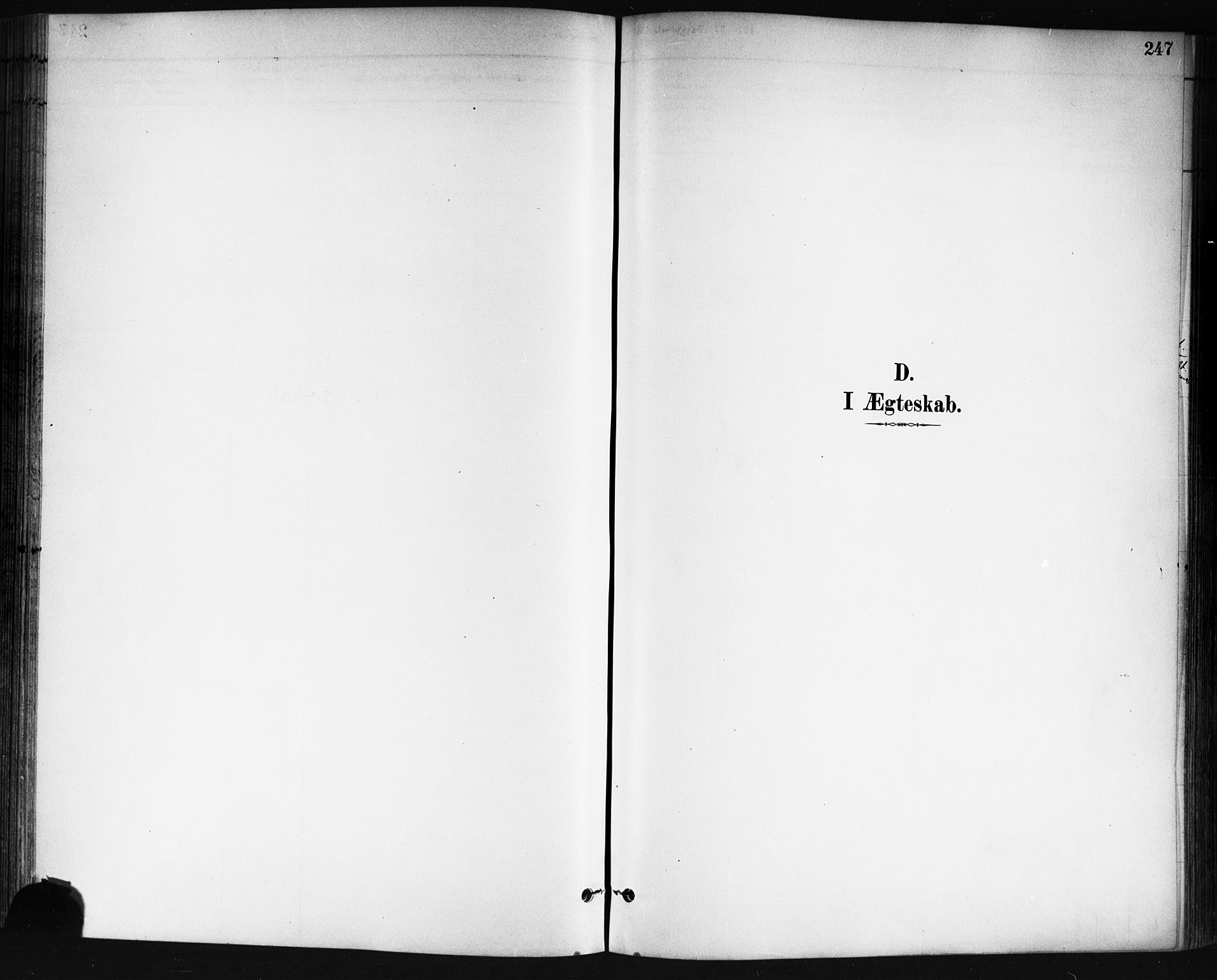 Skedsmo prestekontor Kirkebøker, SAO/A-10033a/G/Ga/L0004: Parish register (copy) no. I 4, 1883-1895, p. 247