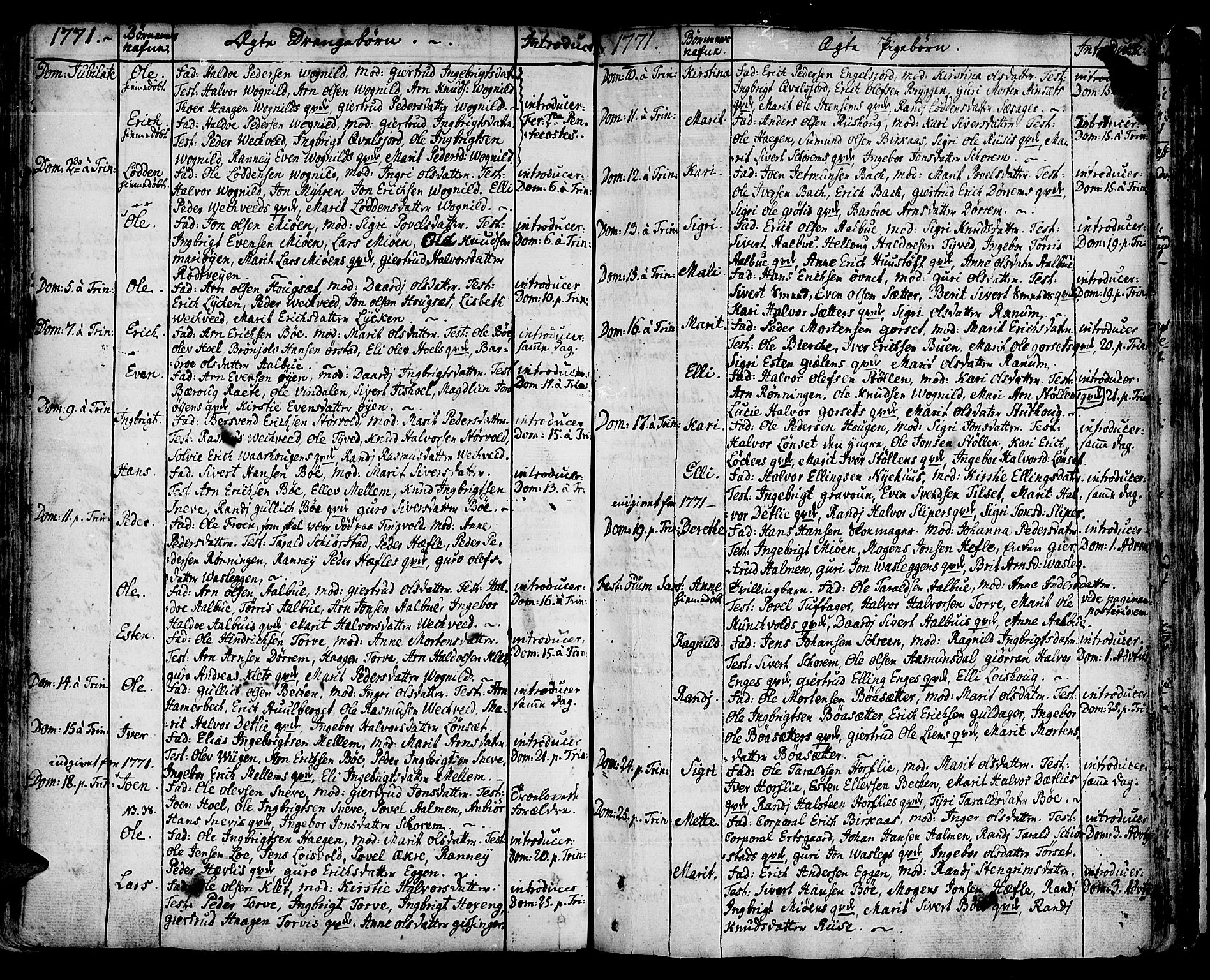 Ministerialprotokoller, klokkerbøker og fødselsregistre - Sør-Trøndelag, SAT/A-1456/678/L0891: Parish register (official) no. 678A01, 1739-1780, p. 132