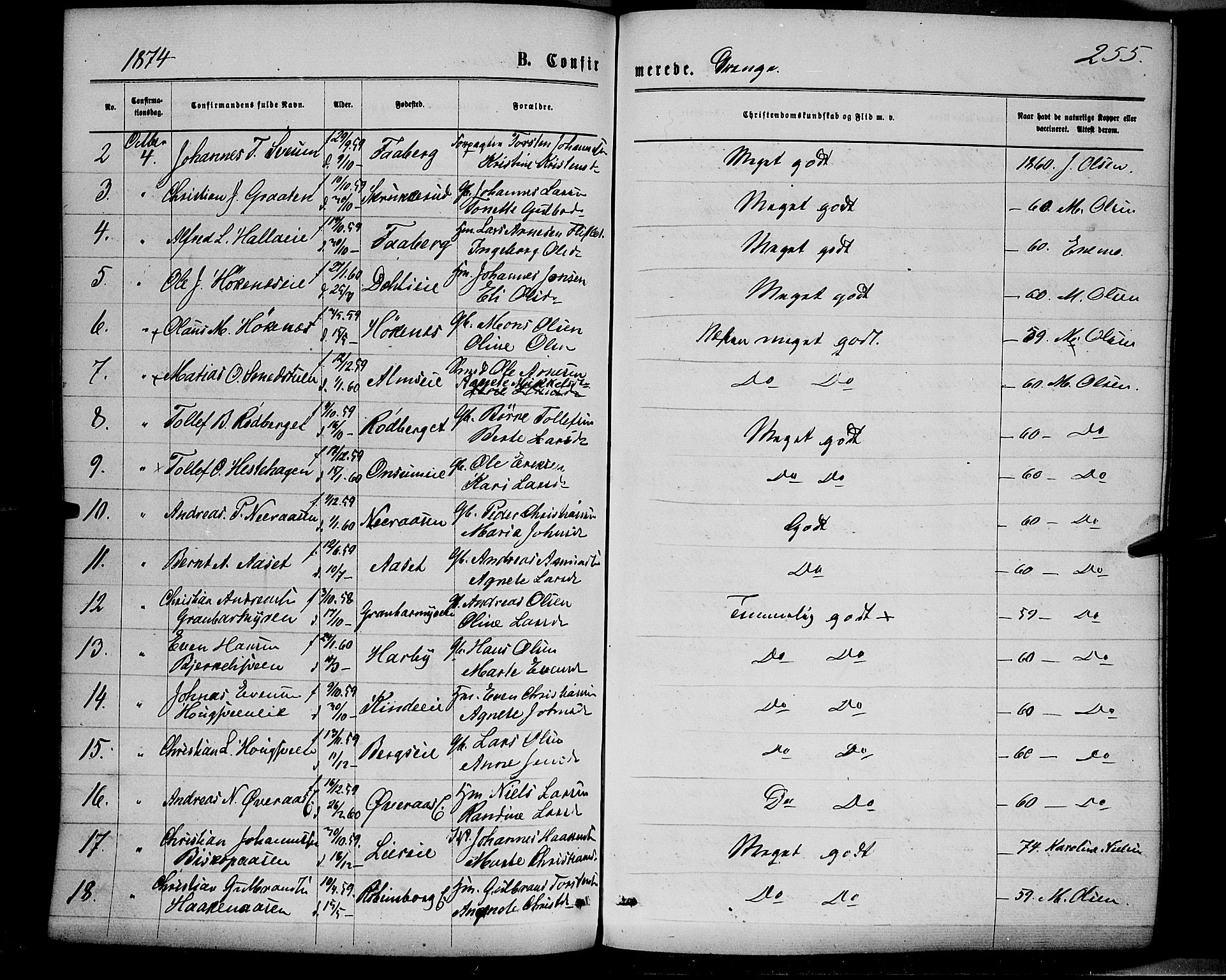 Ringsaker prestekontor, AV/SAH-PREST-014/K/Ka/L0011: Parish register (official) no. 11, 1870-1878, p. 255