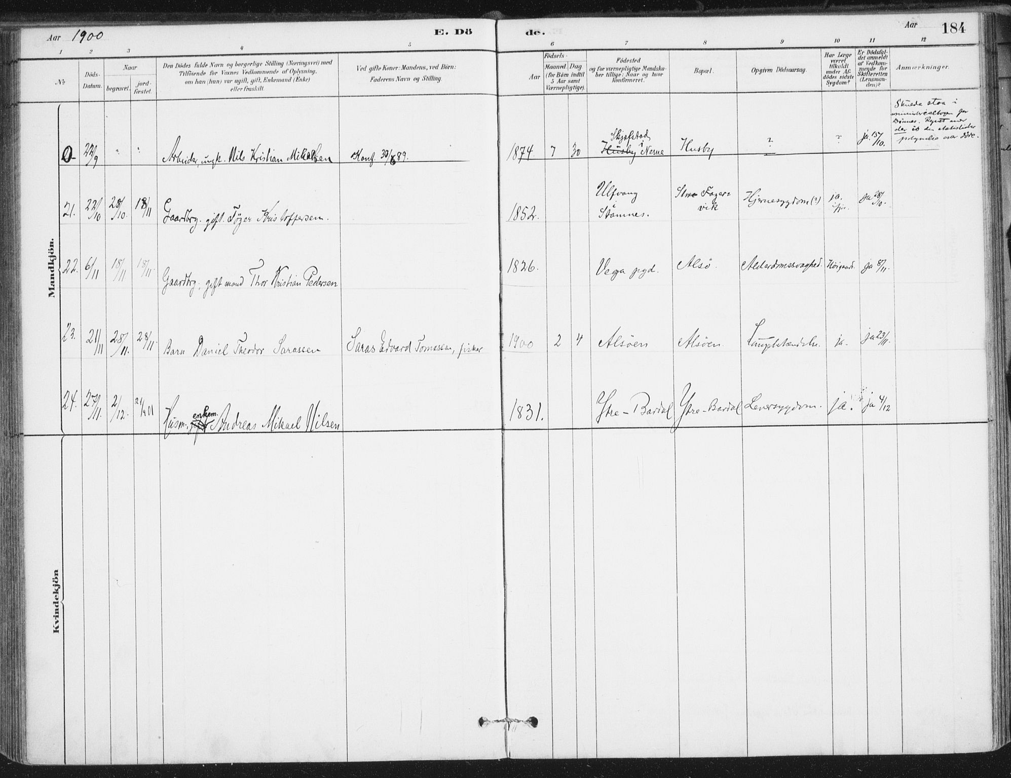 Ministerialprotokoller, klokkerbøker og fødselsregistre - Nordland, AV/SAT-A-1459/838/L0553: Parish register (official) no. 838A11, 1880-1910, p. 184