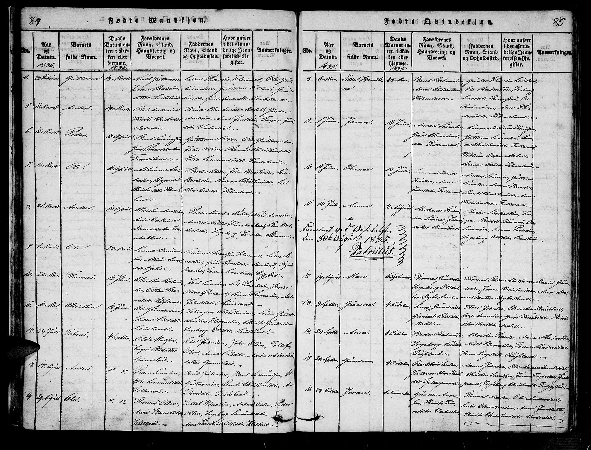 Bjelland sokneprestkontor, AV/SAK-1111-0005/F/Fa/Fab/L0002: Parish register (official) no. A 2, 1816-1869, p. 84-85