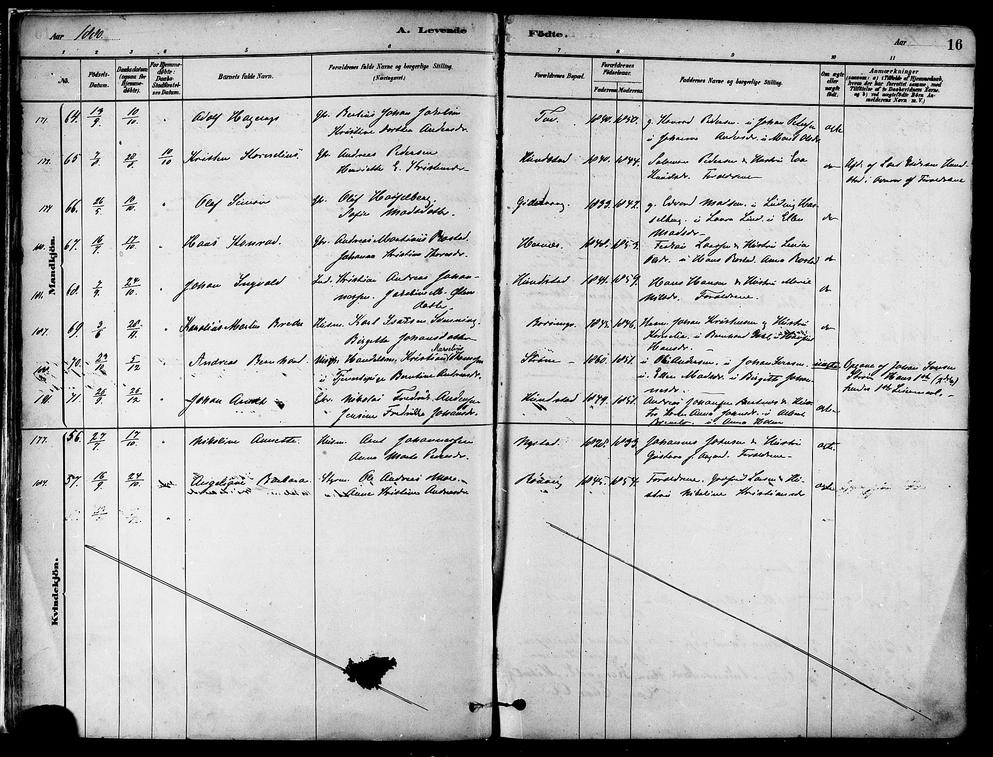 Ministerialprotokoller, klokkerbøker og fødselsregistre - Nordland, AV/SAT-A-1459/802/L0054: Parish register (official) no. 802A01, 1879-1893, p. 16