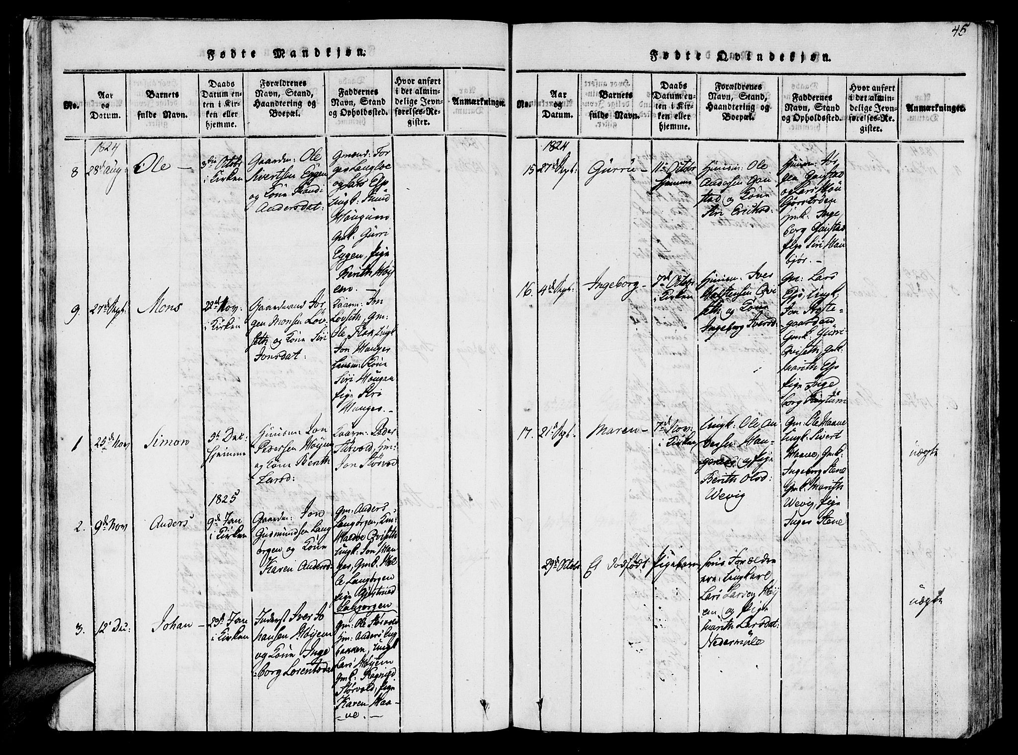 Ministerialprotokoller, klokkerbøker og fødselsregistre - Sør-Trøndelag, SAT/A-1456/612/L0372: Parish register (official) no. 612A06 /1, 1816-1828, p. 45