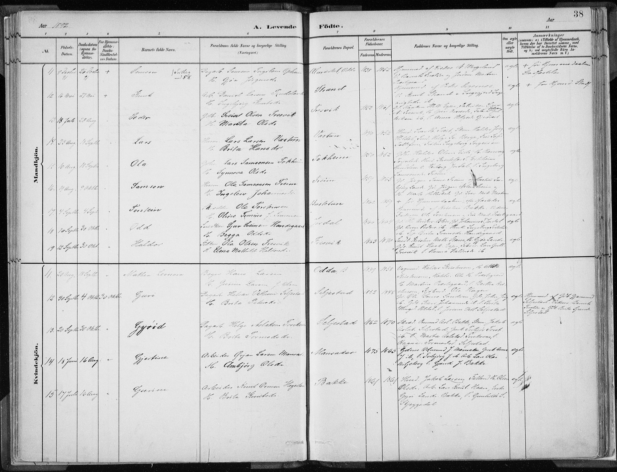 Odda Sokneprestembete, SAB/A-77201/H/Haa: Parish register (official) no. A  3, 1882-1913, p. 38