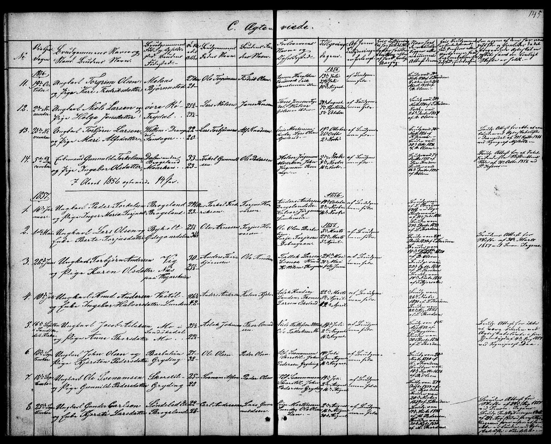 Gjerstad sokneprestkontor, SAK/1111-0014/F/Fa/Faa/L0006: Parish register (official) no. A 6, 1841-1857, p. 145