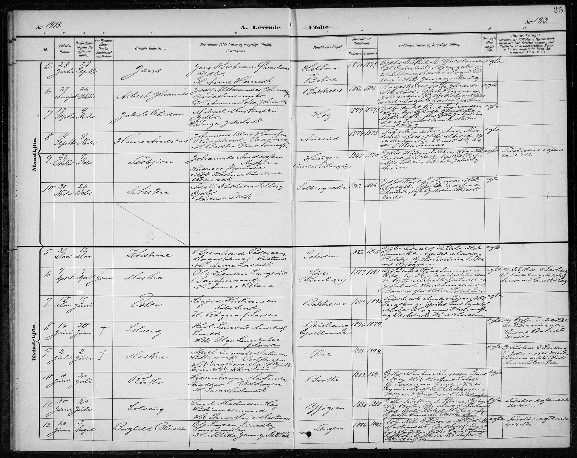 Botne kirkebøker, AV/SAKO-A-340/F/Fb/L0002: Parish register (official) no. II 2, 1902-1915, p. 25