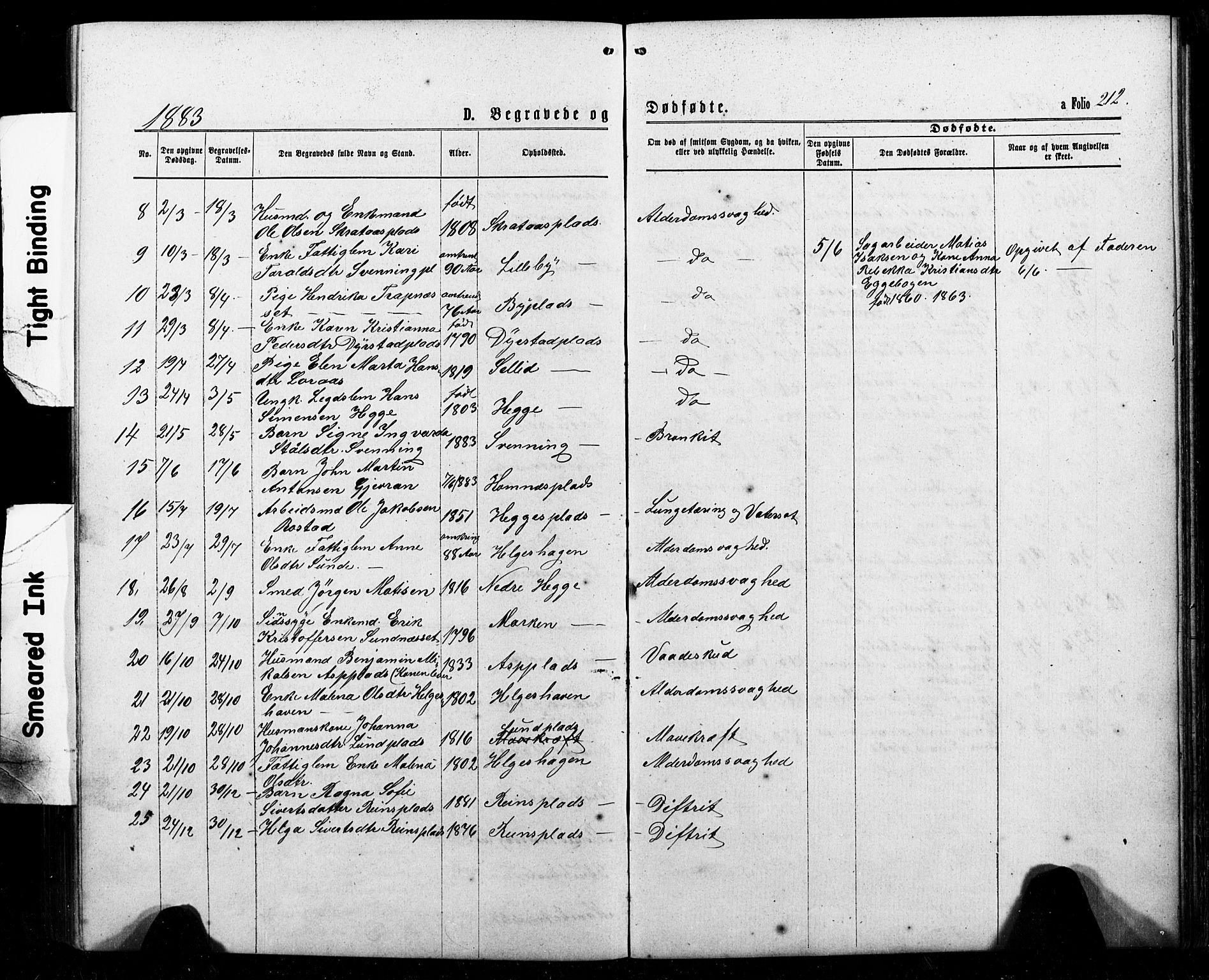 Ministerialprotokoller, klokkerbøker og fødselsregistre - Nord-Trøndelag, SAT/A-1458/740/L0380: Parish register (copy) no. 740C01, 1868-1902, p. 212