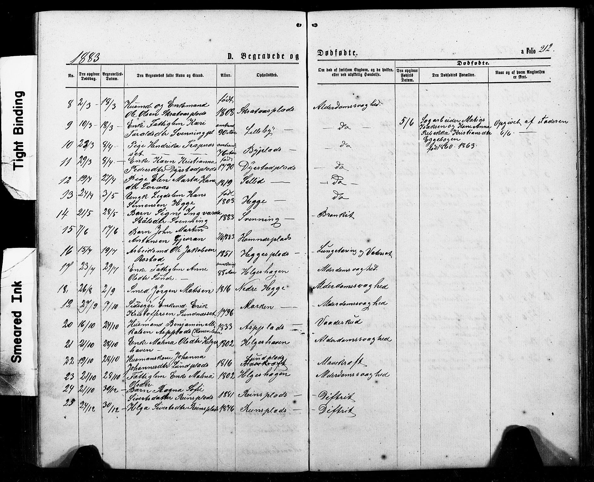 Ministerialprotokoller, klokkerbøker og fødselsregistre - Nord-Trøndelag, AV/SAT-A-1458/740/L0380: Parish register (copy) no. 740C01, 1868-1902, p. 212