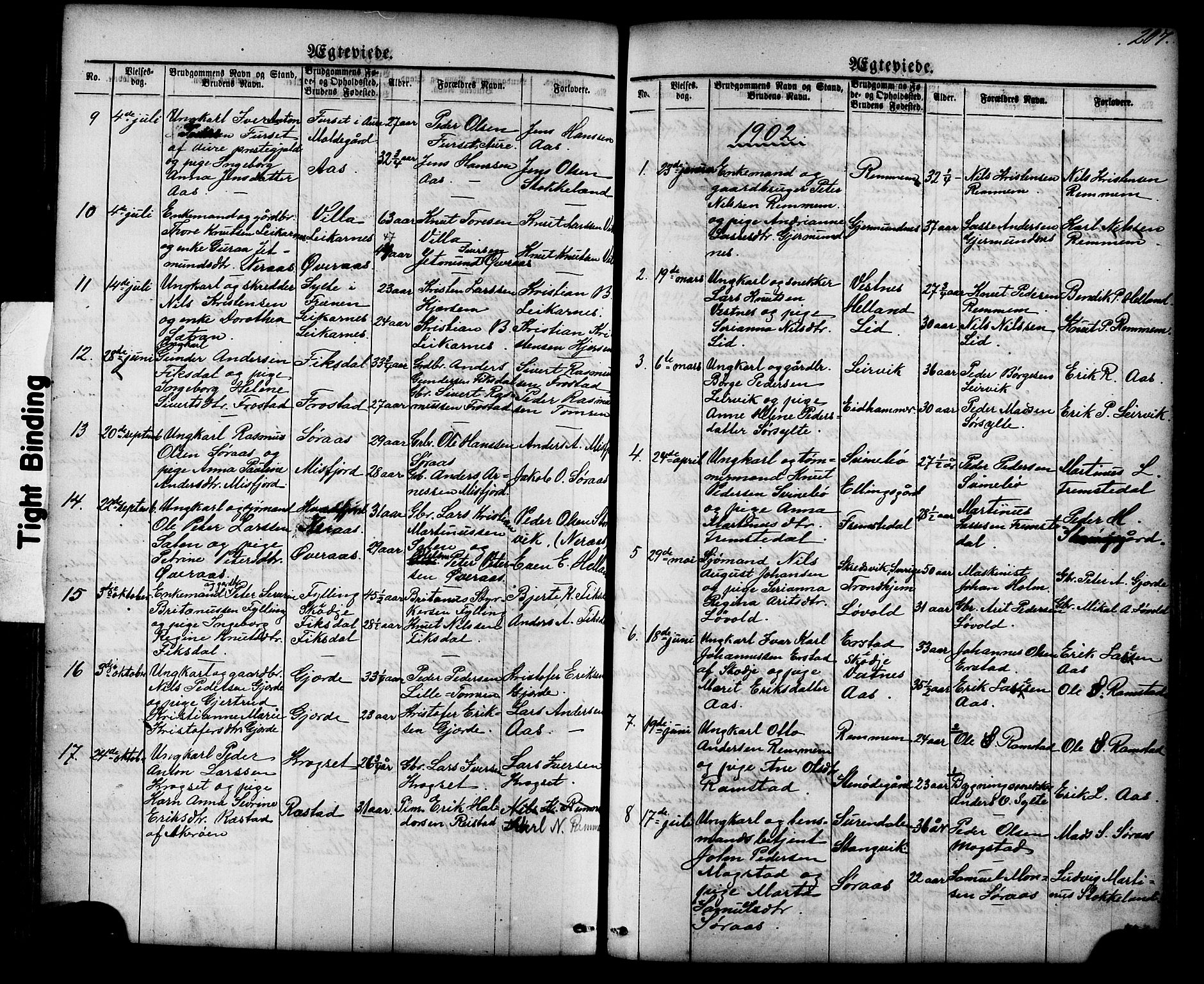 Ministerialprotokoller, klokkerbøker og fødselsregistre - Møre og Romsdal, AV/SAT-A-1454/539/L0536: Parish register (copy) no. 539C02, 1867-1913, p. 207