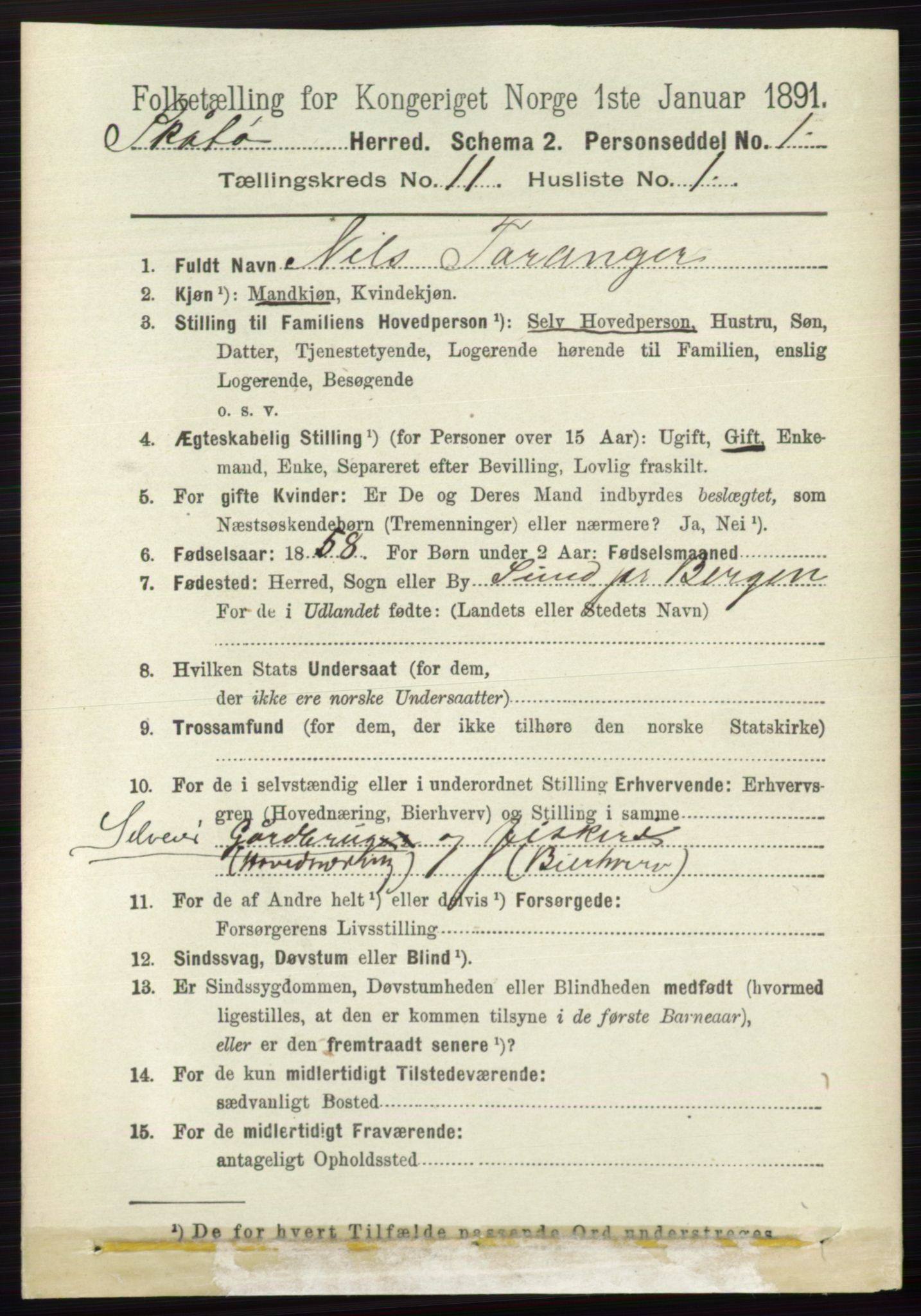 RA, 1891 census for 0815 Skåtøy, 1891, p. 4227