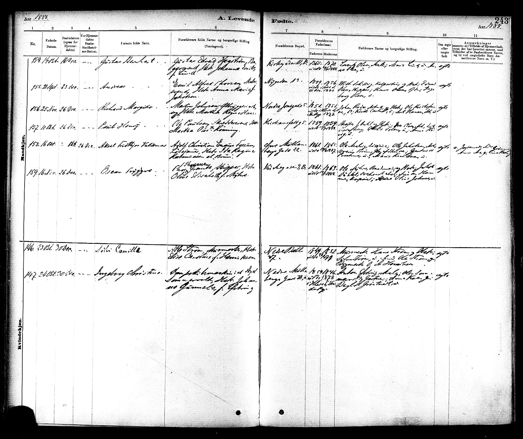 Ministerialprotokoller, klokkerbøker og fødselsregistre - Sør-Trøndelag, SAT/A-1456/604/L0188: Parish register (official) no. 604A09, 1878-1892, p. 243