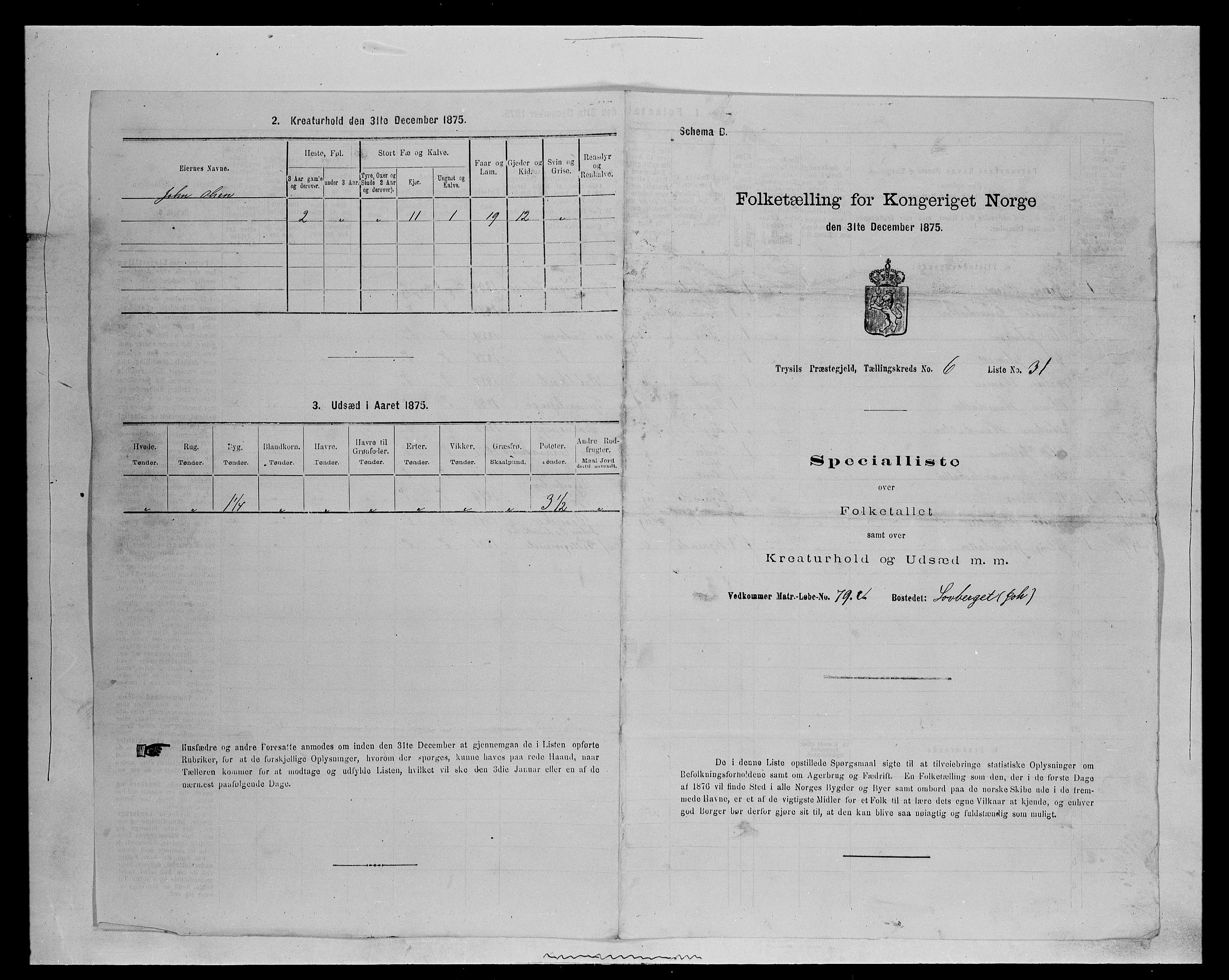 SAH, 1875 census for 0428P Trysil, 1875, p. 781