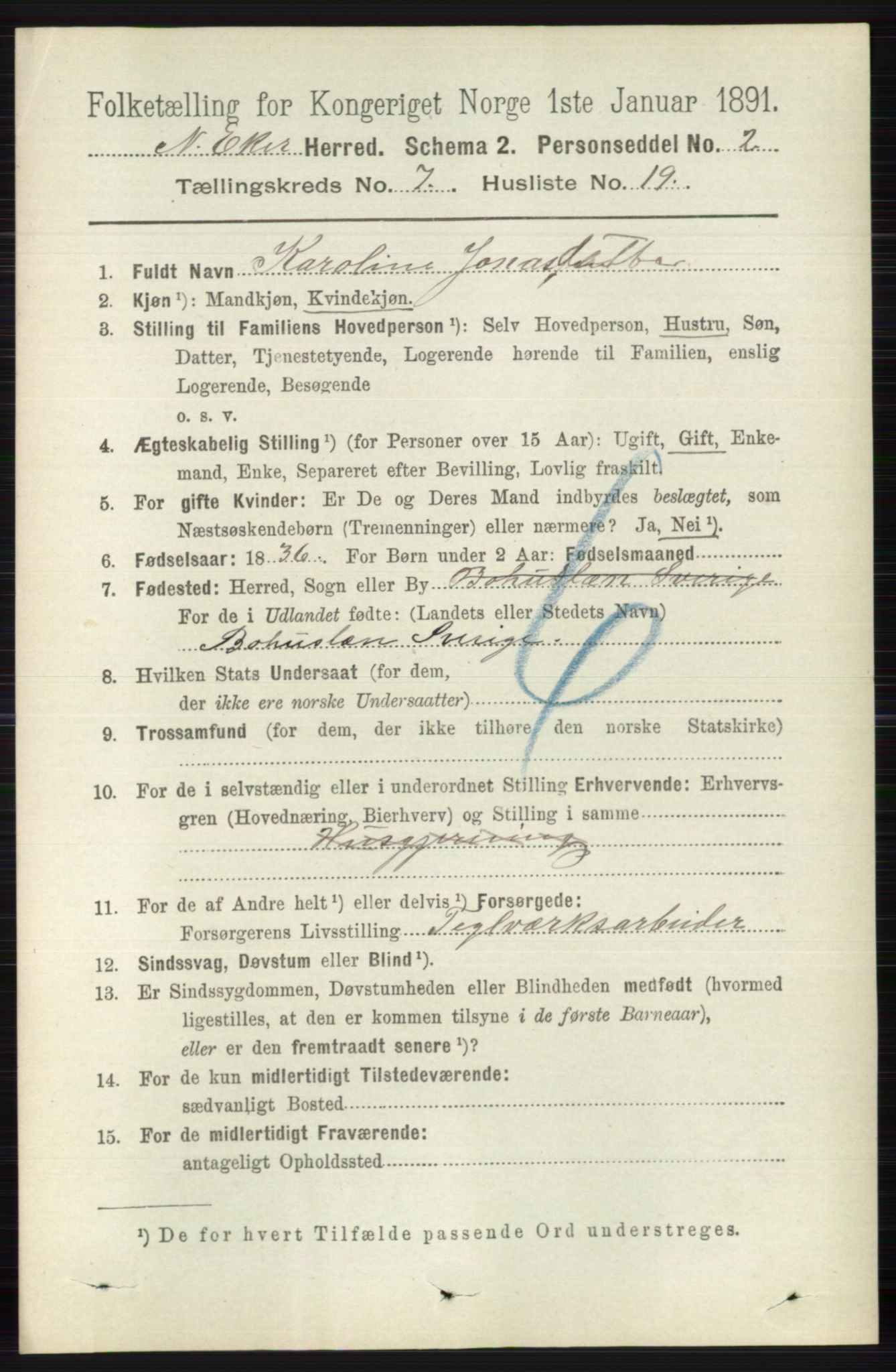 RA, 1891 census for 0625 Nedre Eiker, 1891, p. 3515