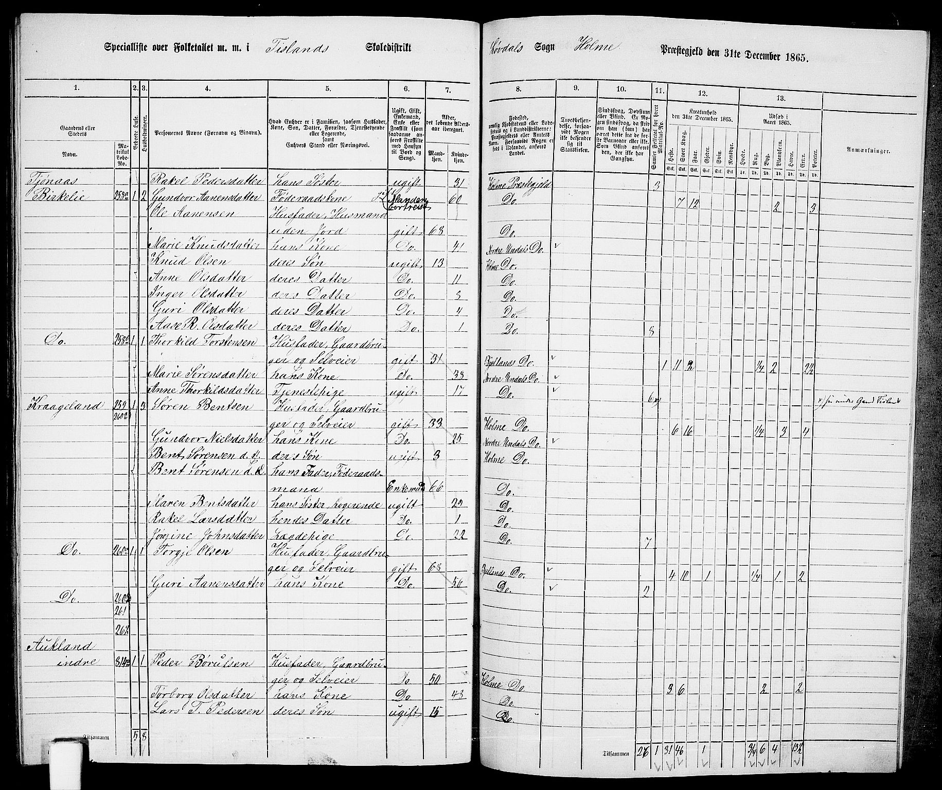 RA, 1865 census for Holum, 1865, p. 163