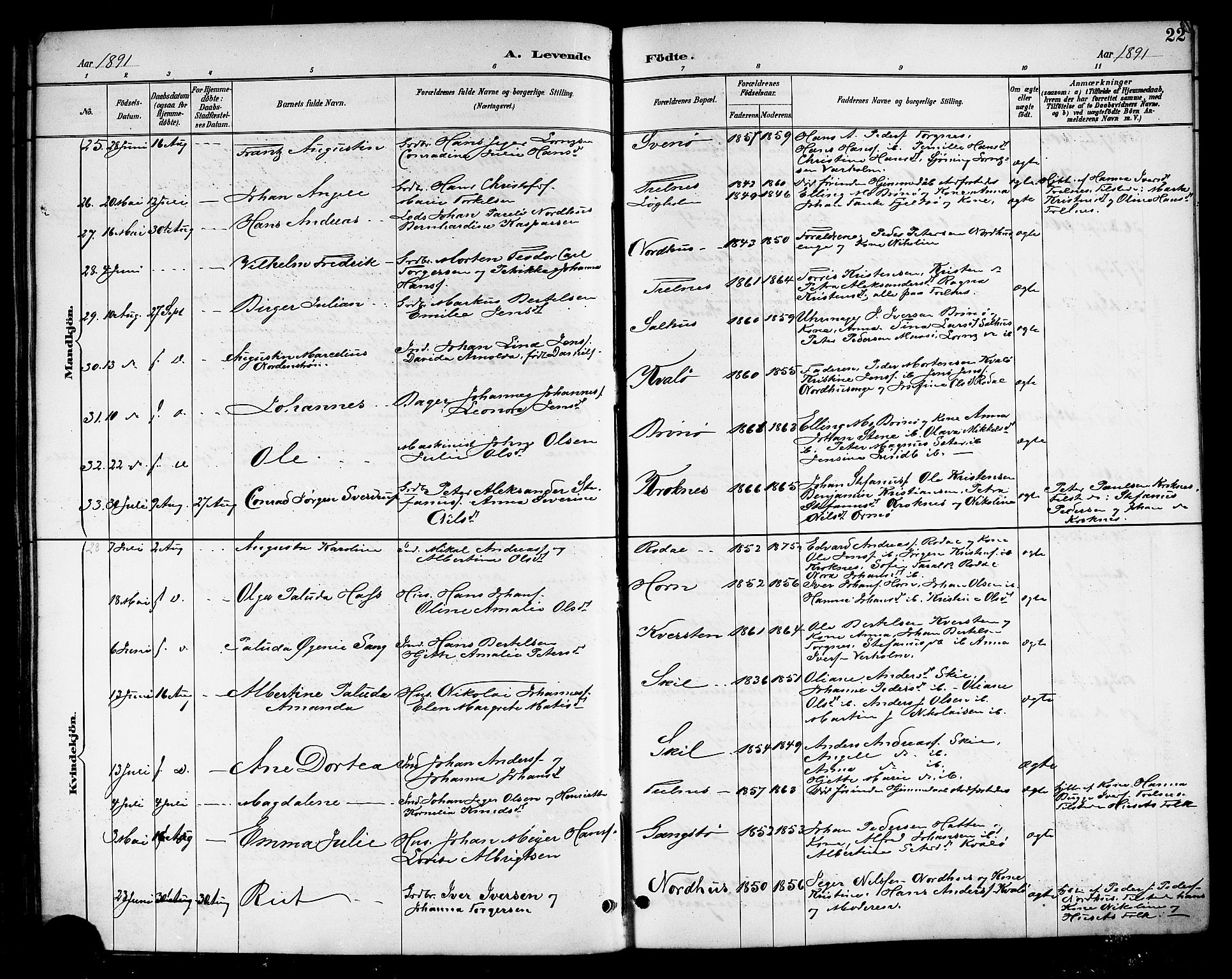 Ministerialprotokoller, klokkerbøker og fødselsregistre - Nordland, SAT/A-1459/813/L0213: Parish register (copy) no. 813C05, 1887-1903, p. 22