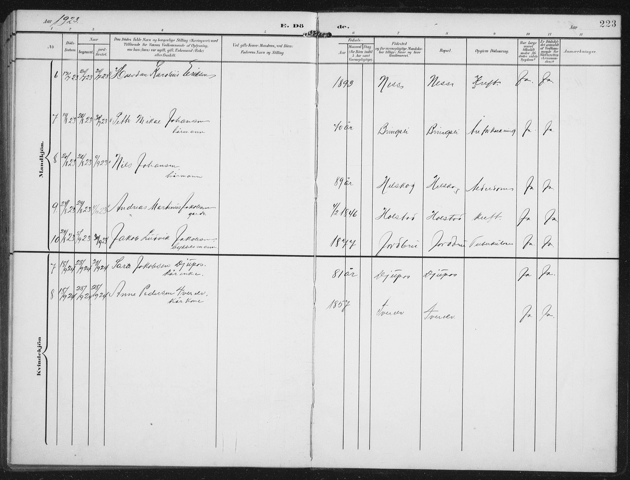 Ministerialprotokoller, klokkerbøker og fødselsregistre - Nordland, AV/SAT-A-1459/851/L0726: Parish register (copy) no. 851C01, 1902-1924, p. 223