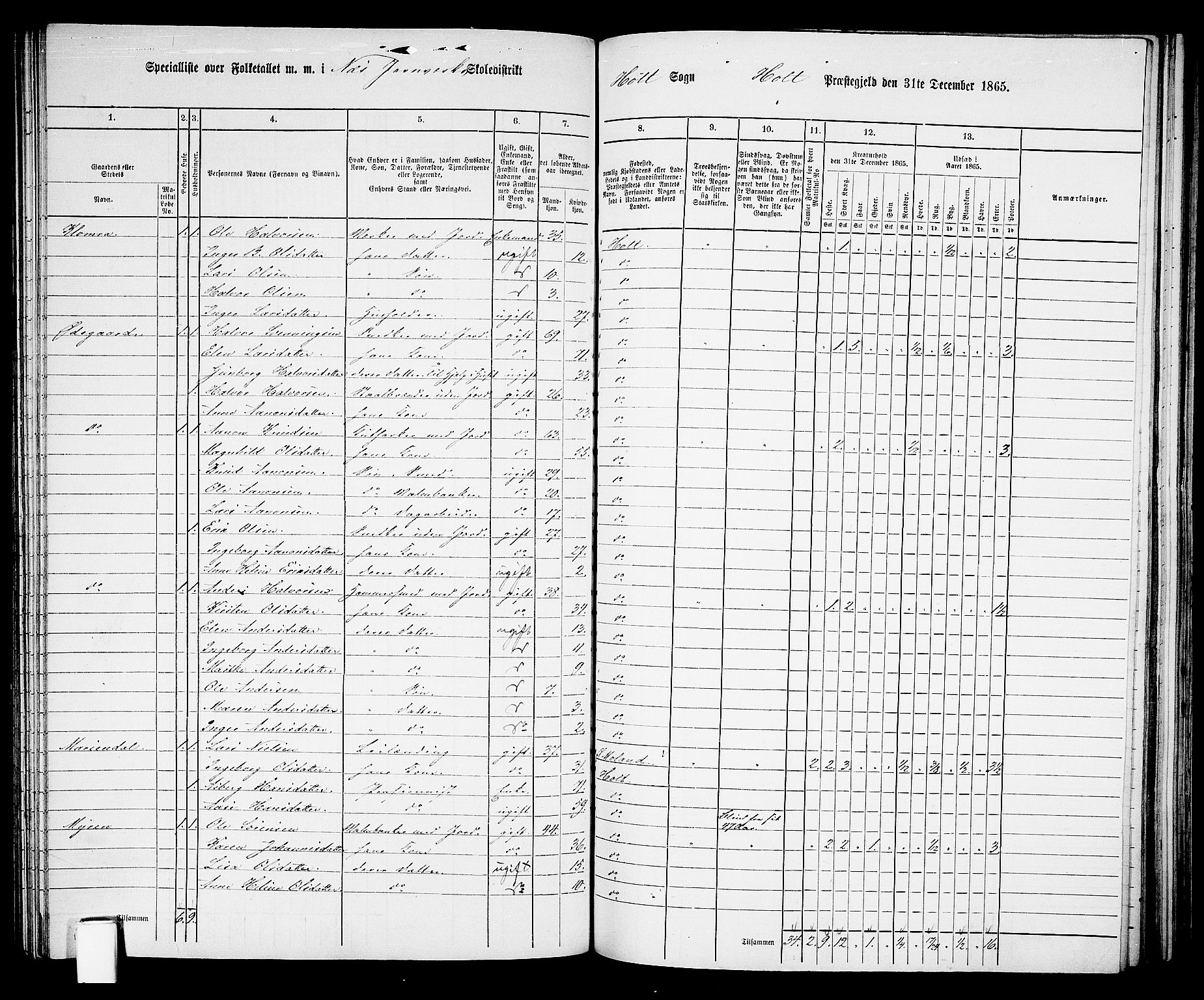 RA, 1865 census for Holt/Holt, 1865, p. 116