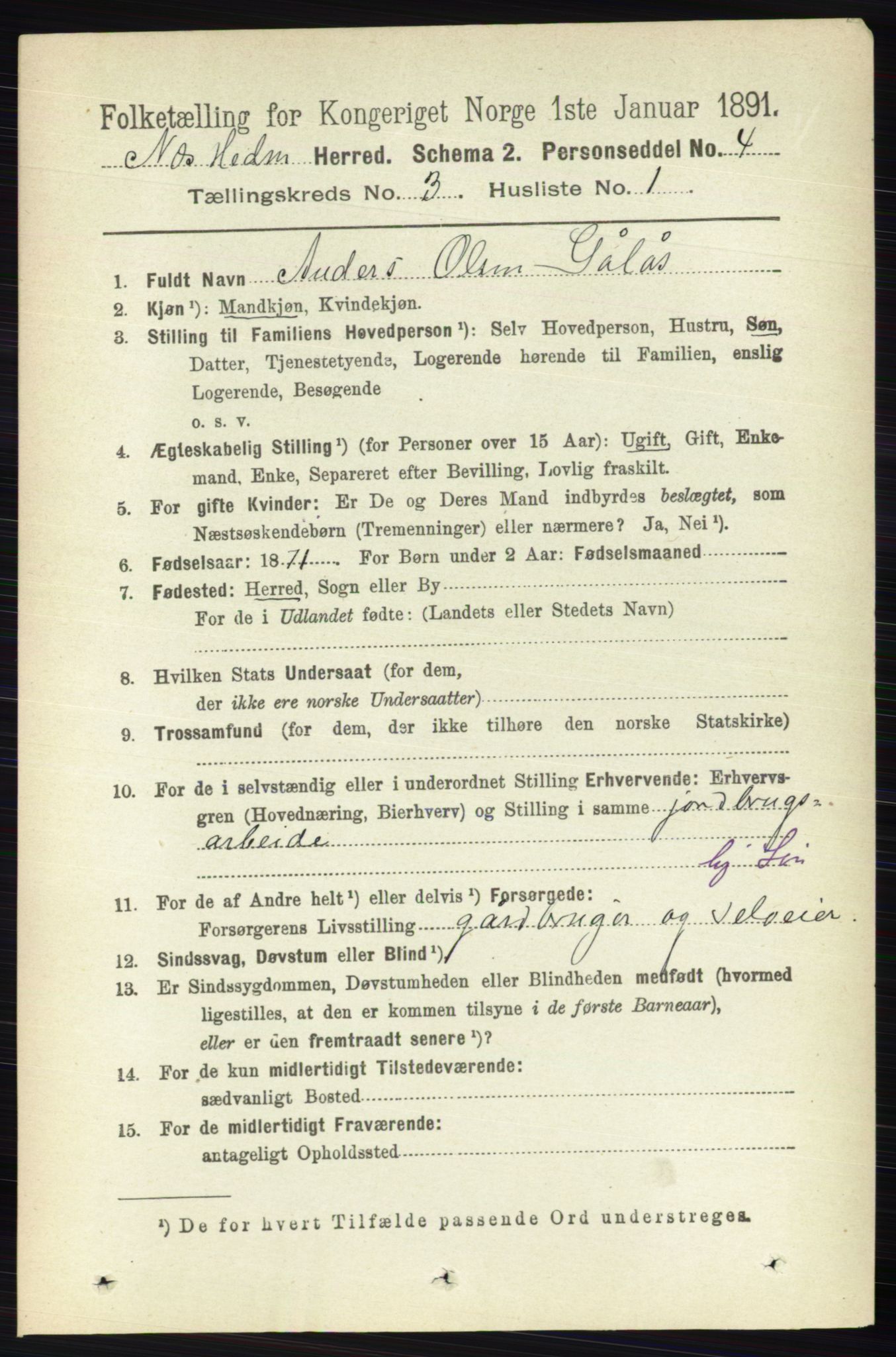 RA, 1891 census for 0411 Nes, 1891, p. 1591