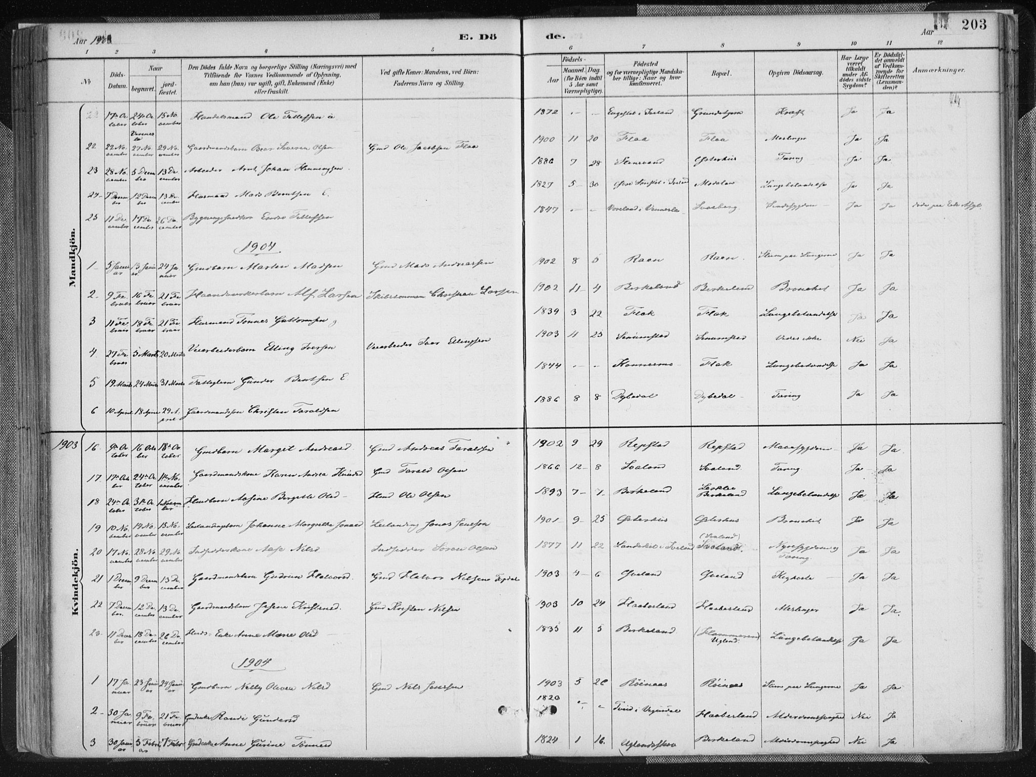 Birkenes sokneprestkontor, SAK/1111-0004/F/Fa/L0005: Parish register (official) no. A 5, 1887-1907, p. 203