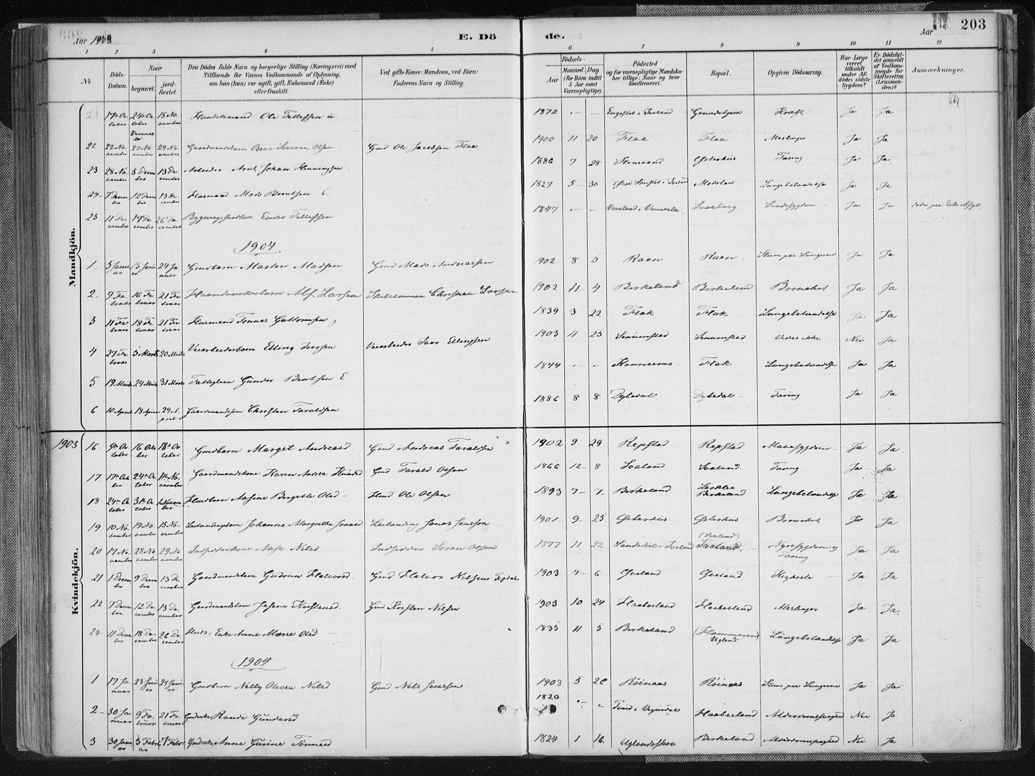 Birkenes sokneprestkontor, AV/SAK-1111-0004/F/Fa/L0005: Parish register (official) no. A 5, 1887-1907, p. 203