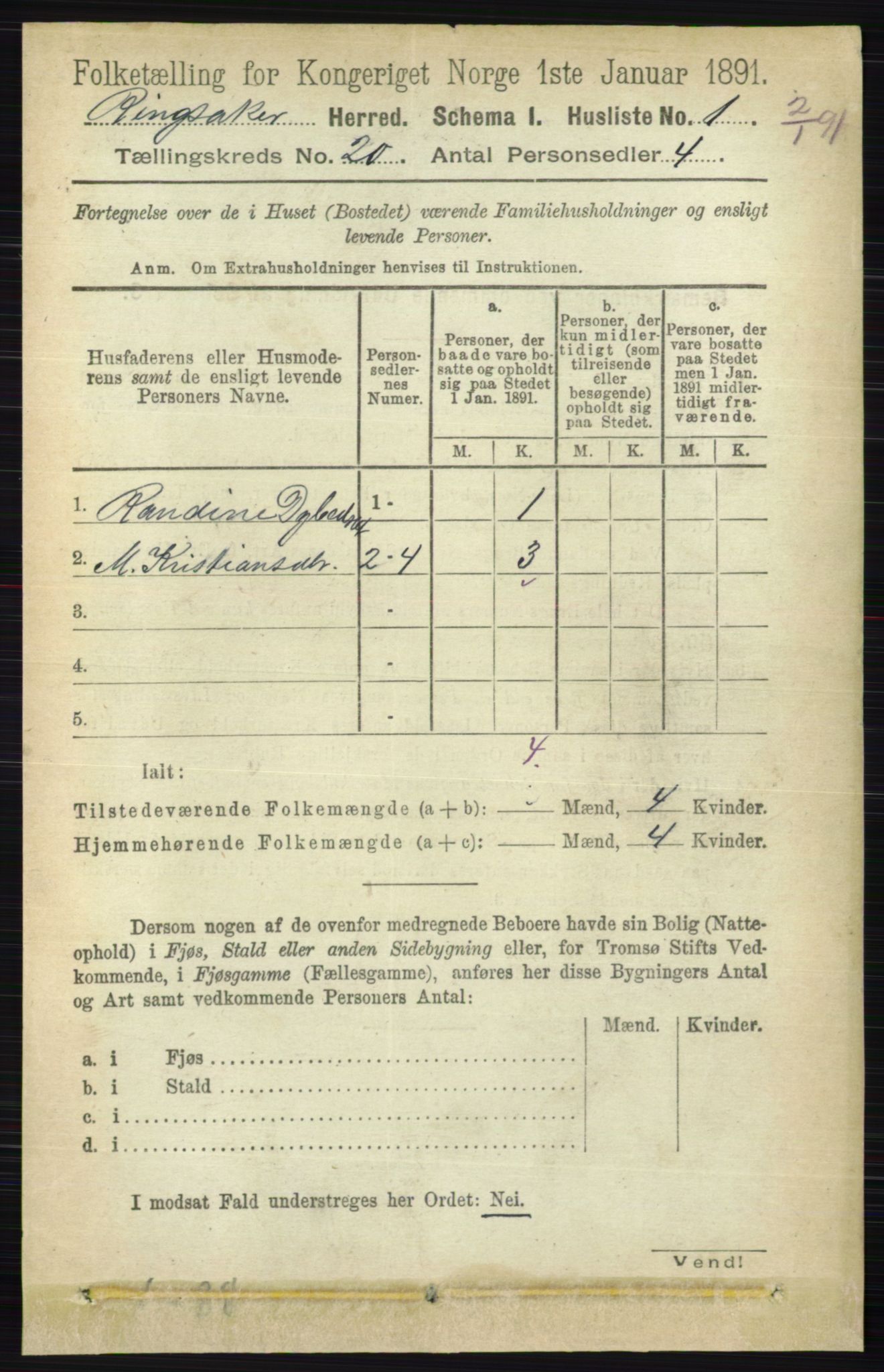 RA, 1891 census for 0412 Ringsaker, 1891, p. 11015