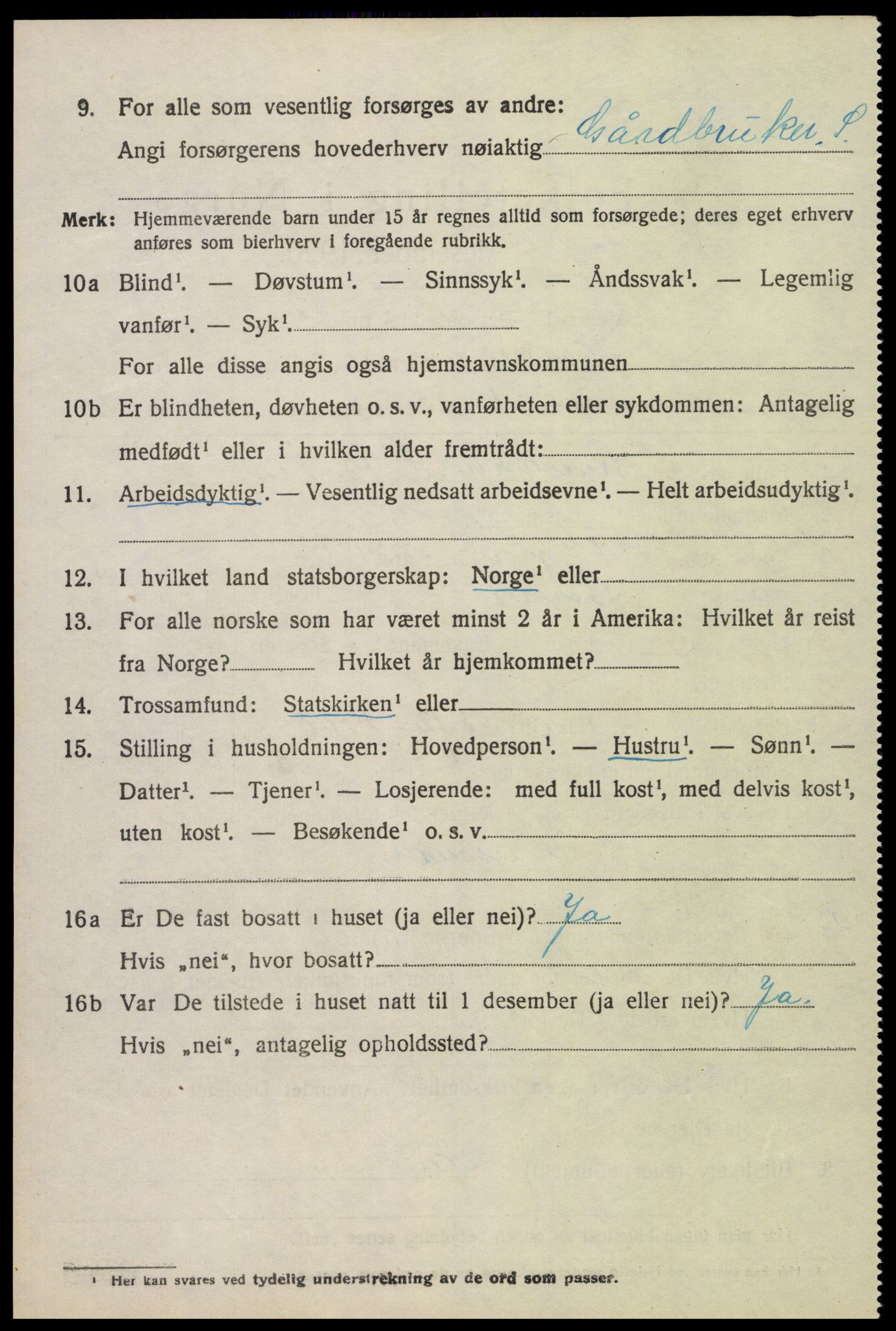 SAK, 1920 census for Hornnes, 1920, p. 3030