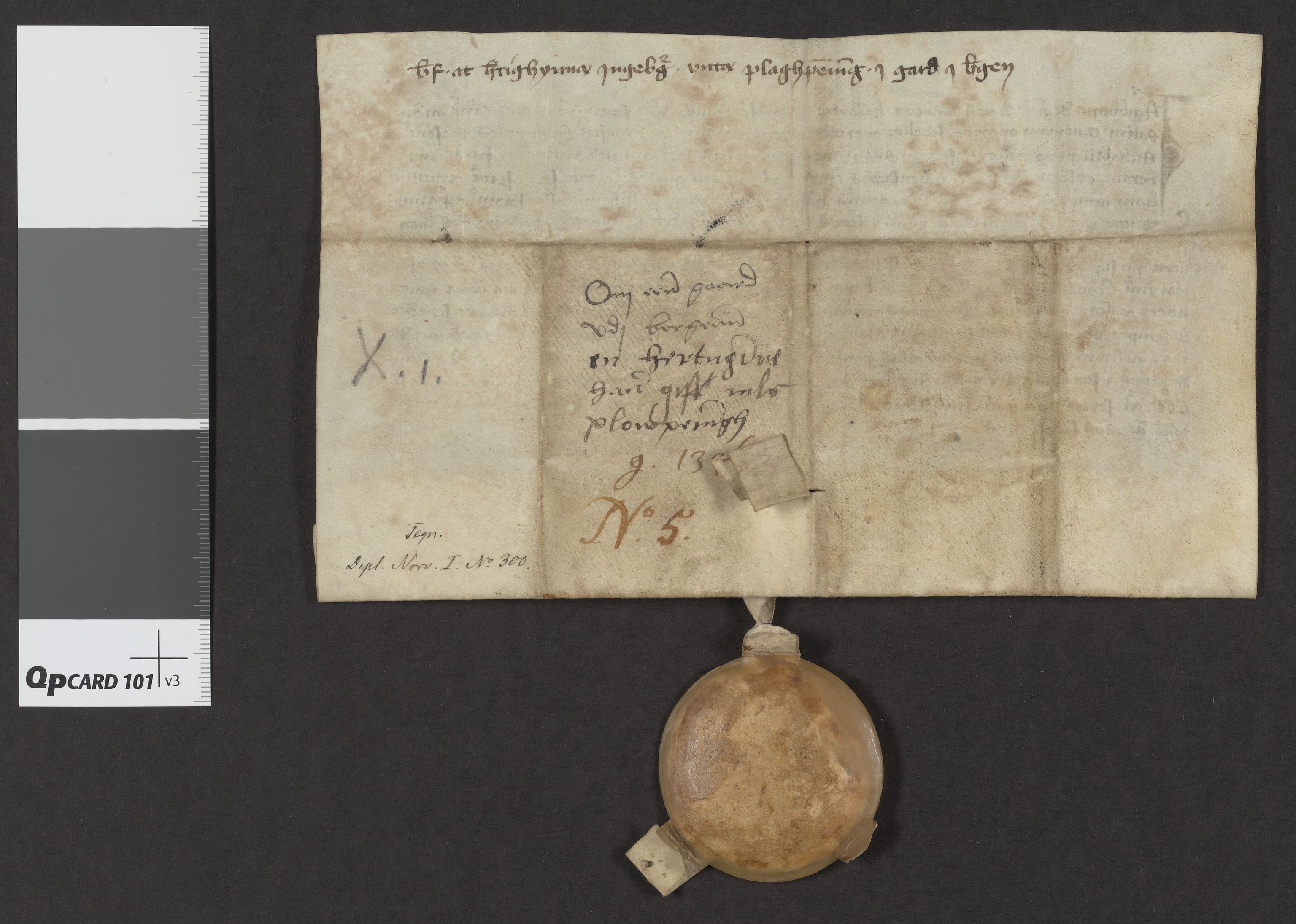 Riksarkivets diplomsamling, AV/RA-EA-5965/F06/L0005: Dokument nr. 5, 8a, 1346