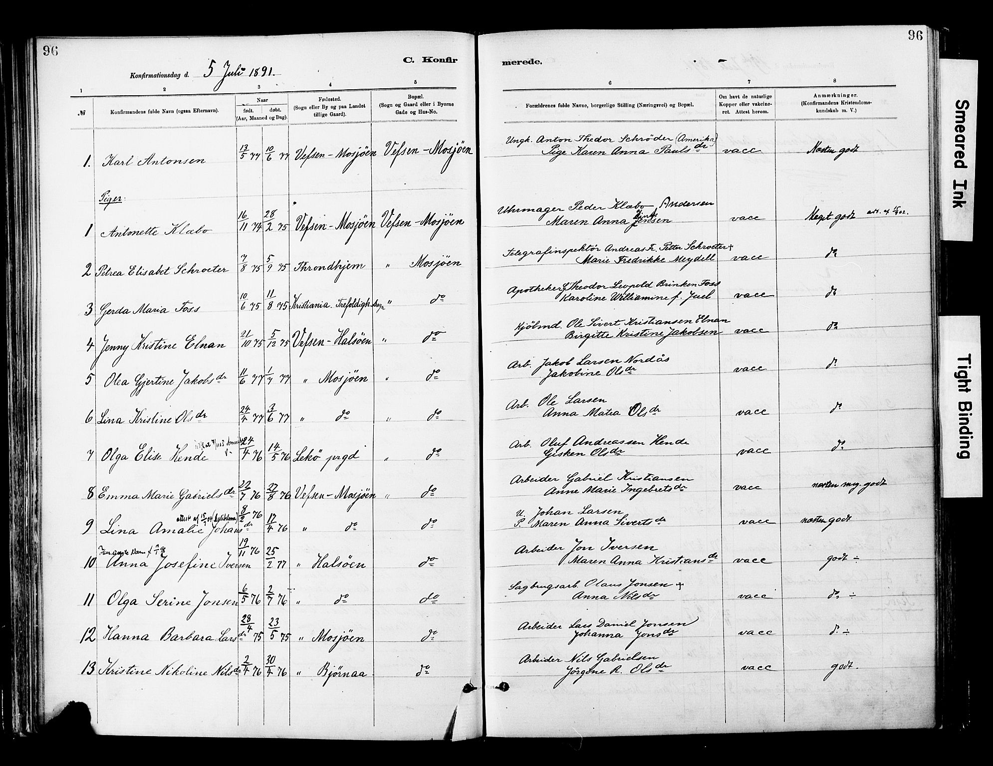 Ministerialprotokoller, klokkerbøker og fødselsregistre - Nordland, SAT/A-1459/820/L0296: Parish register (official) no. 820A17, 1880-1903, p. 96