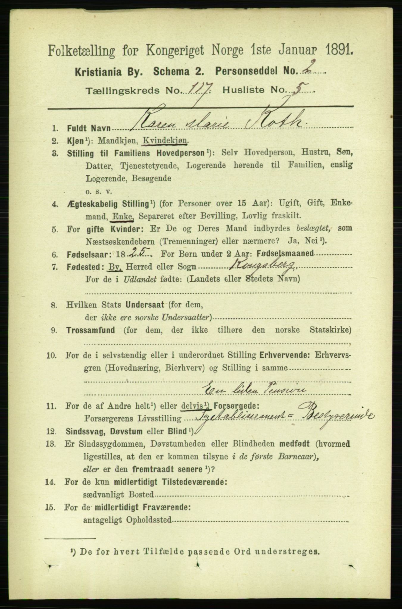 RA, 1891 census for 0301 Kristiania, 1891, p. 63066