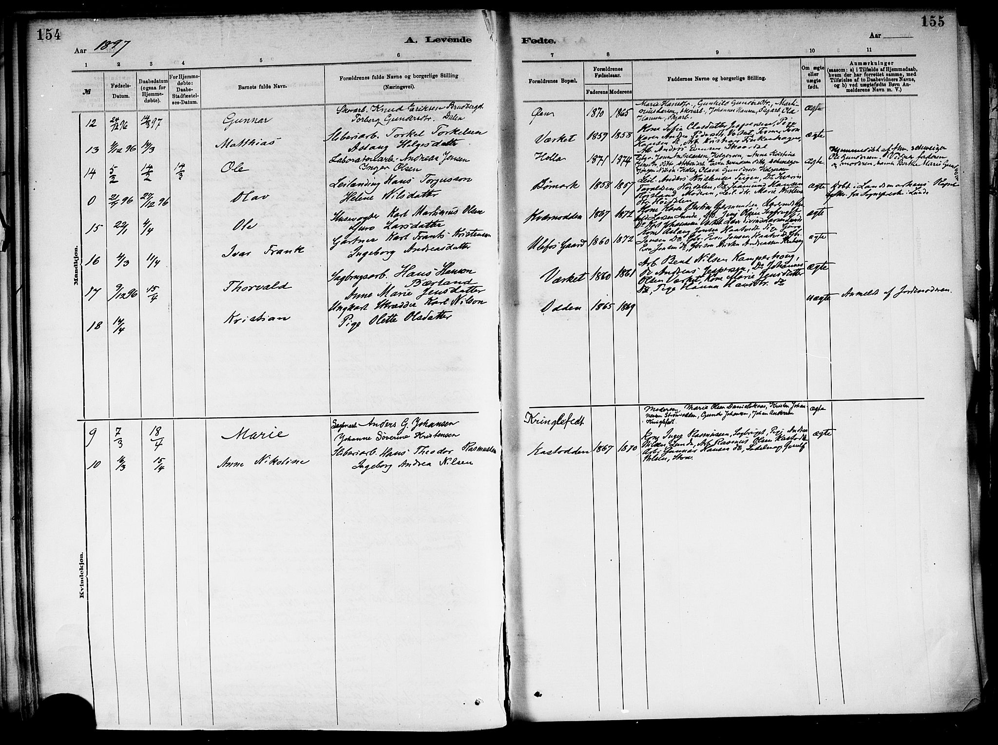 Holla kirkebøker, SAKO/A-272/F/Fa/L0008: Parish register (official) no. 8, 1882-1897, p. 154