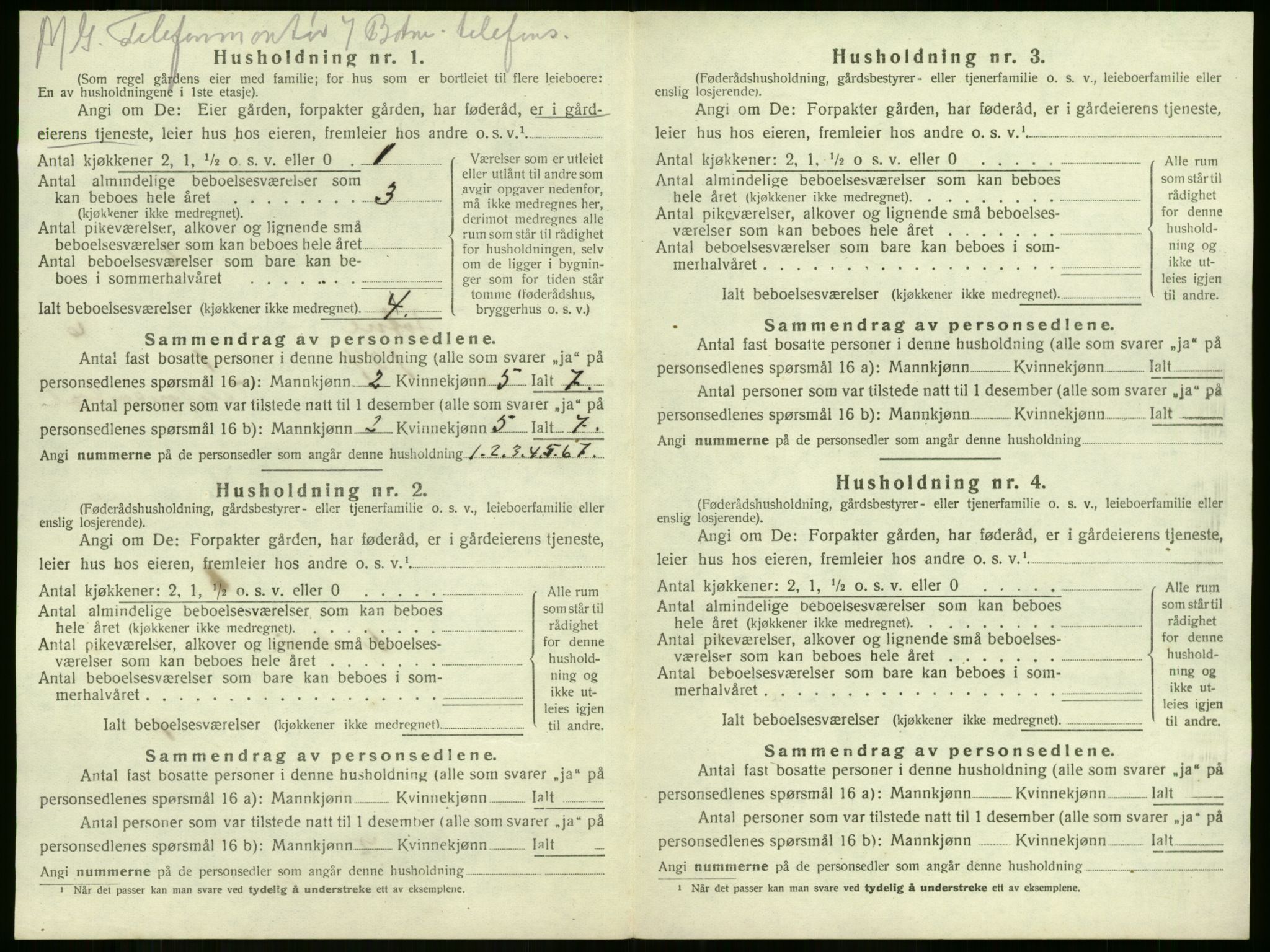 SAKO, 1920 census for Botne, 1920, p. 743