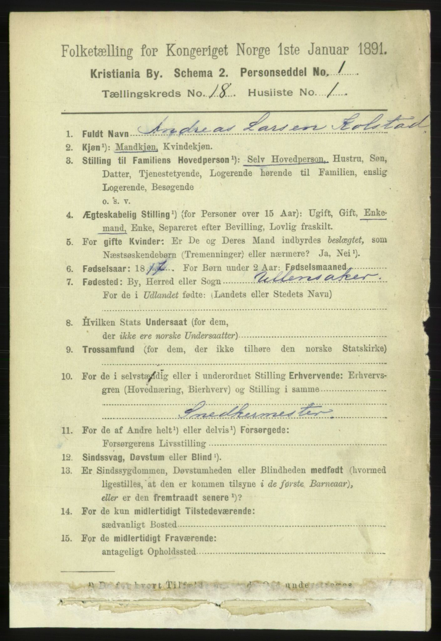 RA, 1891 census for 0301 Kristiania, 1891, p. 8918