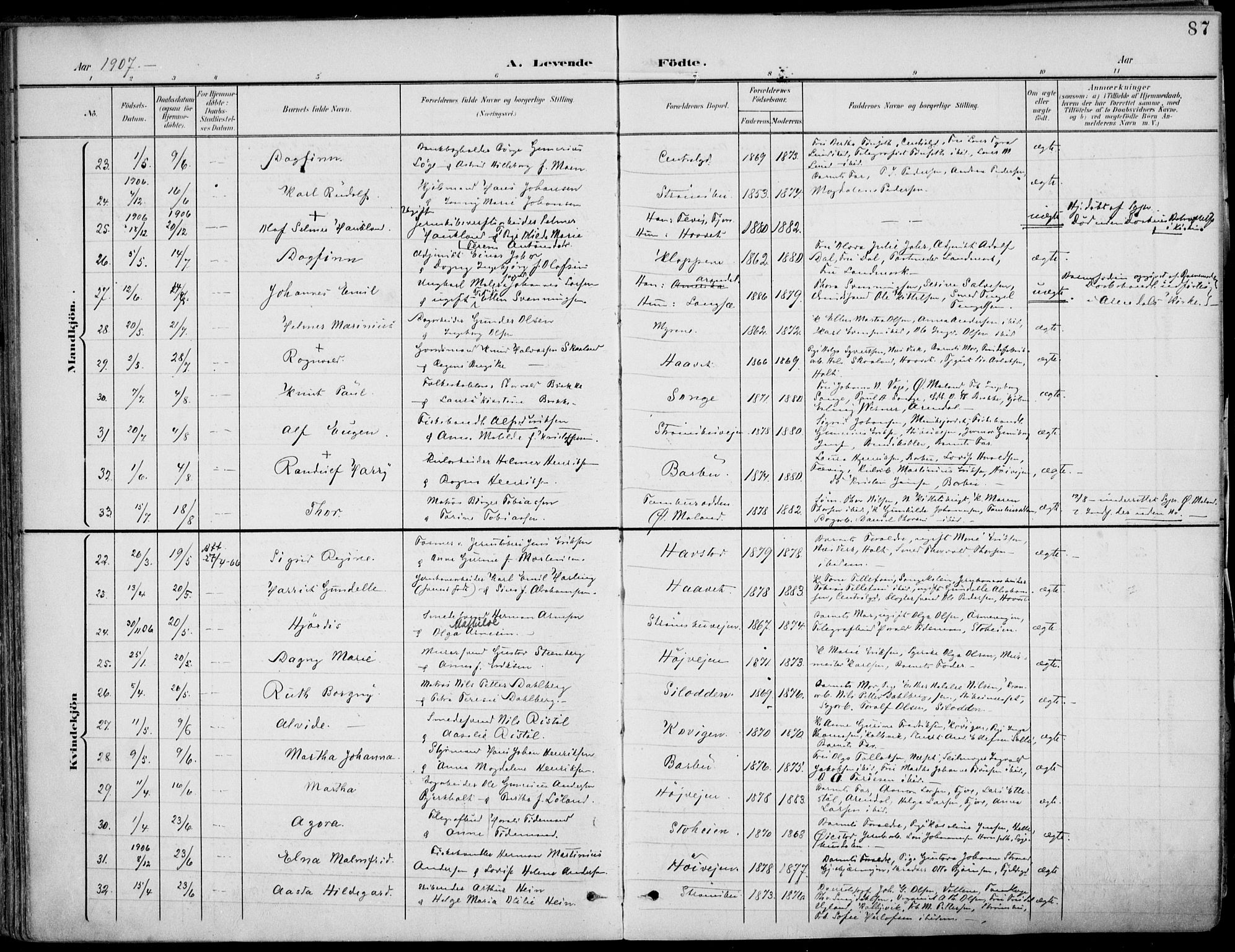 Barbu sokneprestkontor, AV/SAK-1111-0003/F/Fa/L0005: Parish register (official) no. A 5, 1899-1909, p. 87