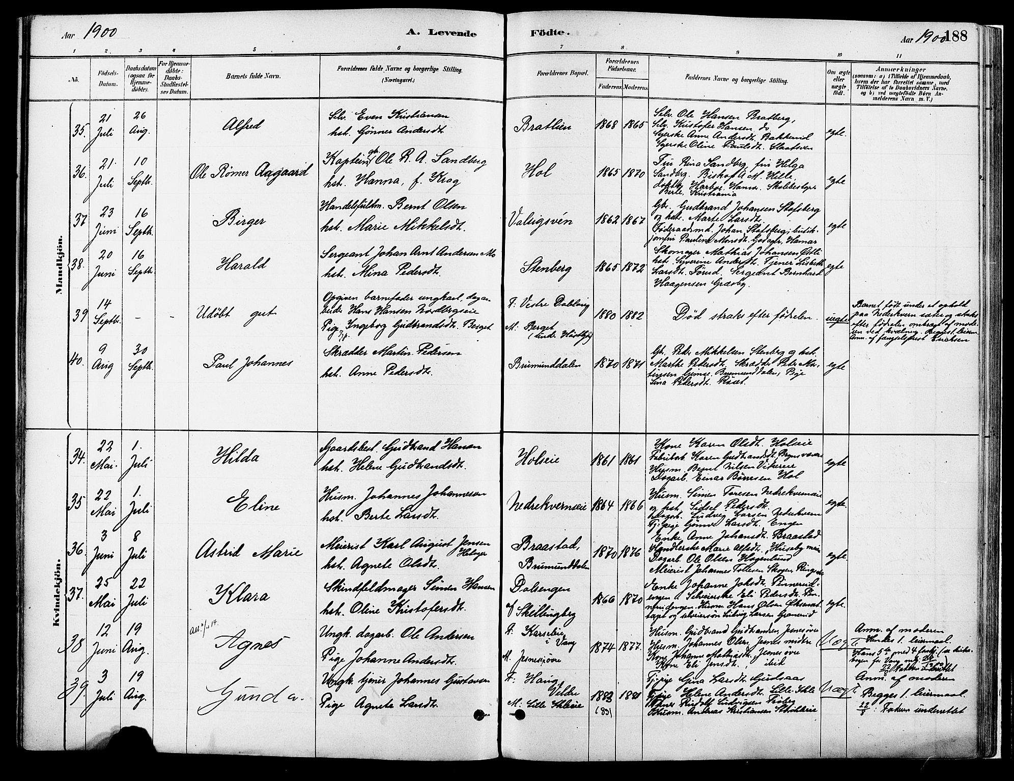 Vang prestekontor, Hedmark, SAH/PREST-008/H/Ha/Haa/L0018A: Parish register (official) no. 18A, 1880-1906, p. 188