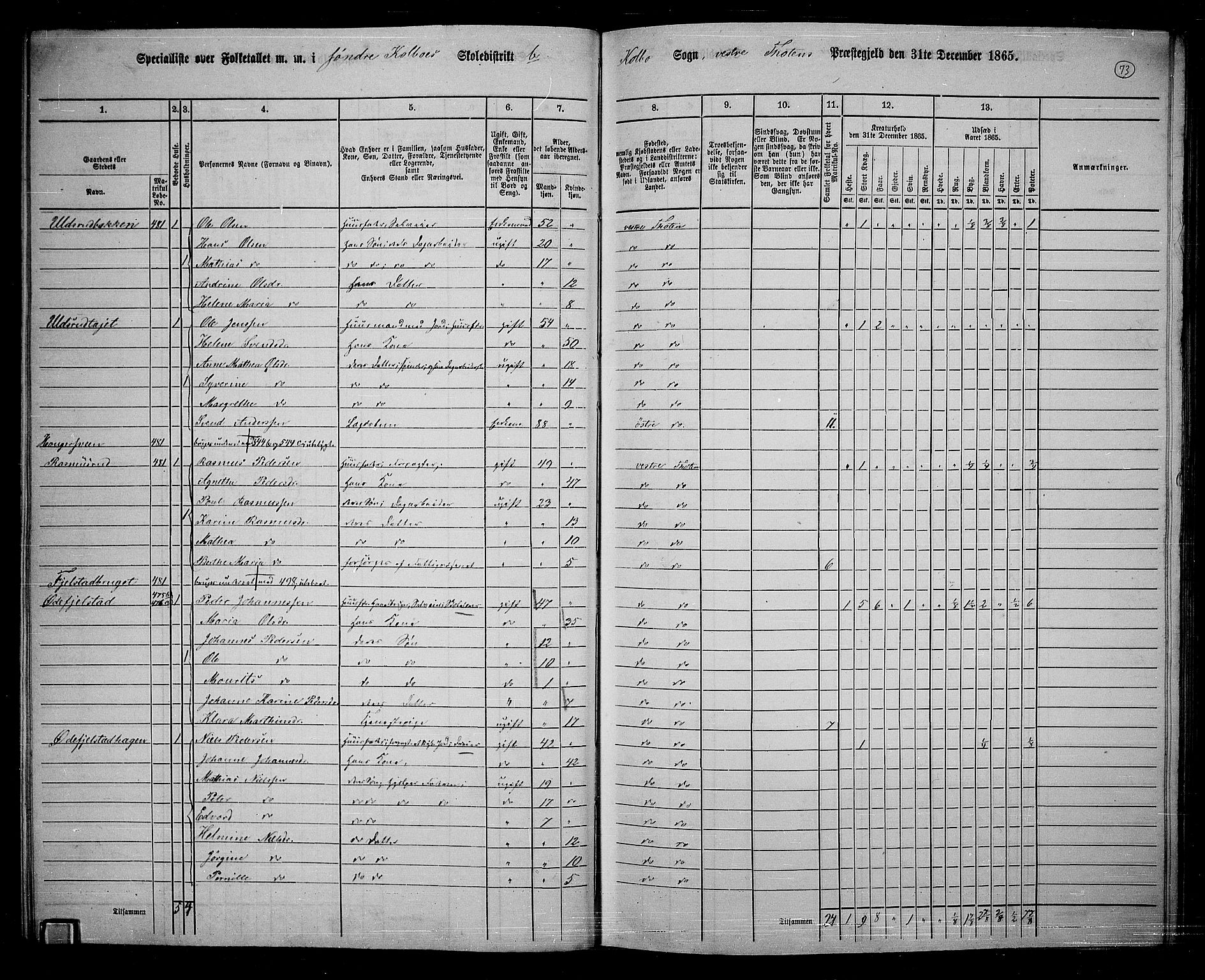 RA, 1865 census for Vestre Toten, 1865, p. 227