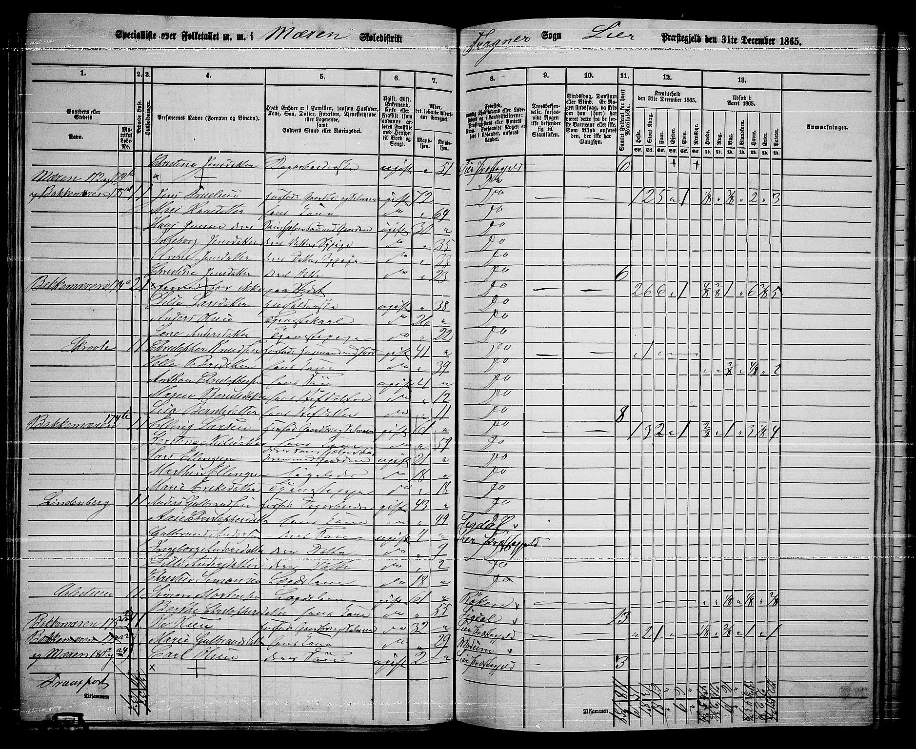 RA, 1865 census for Lier, 1865, p. 99