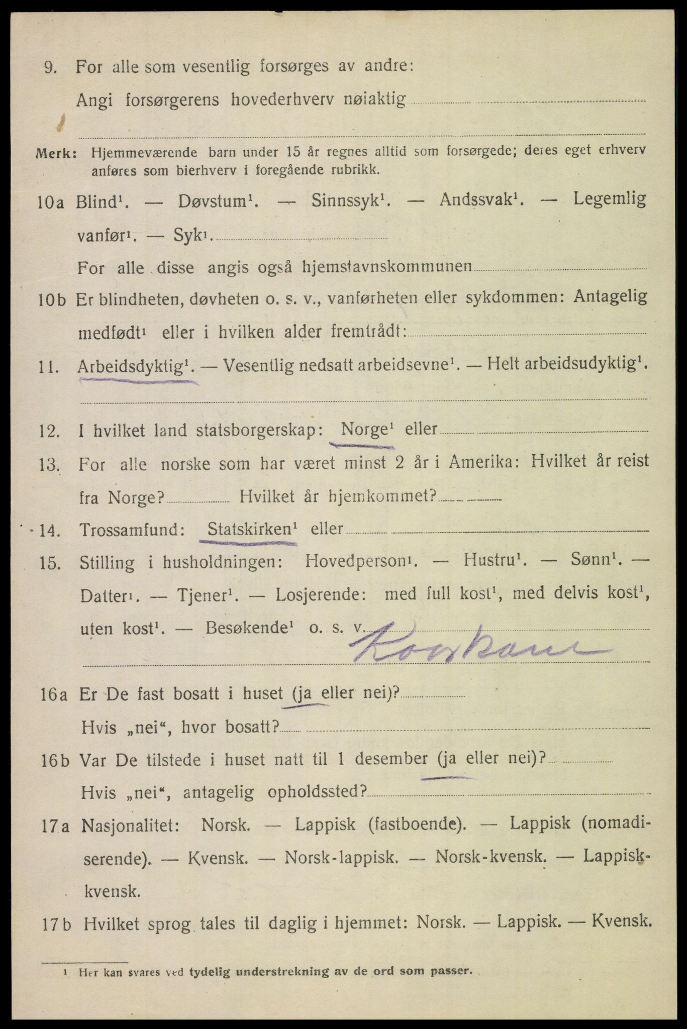 SAT, 1920 census for Bodin, 1920, p. 10119