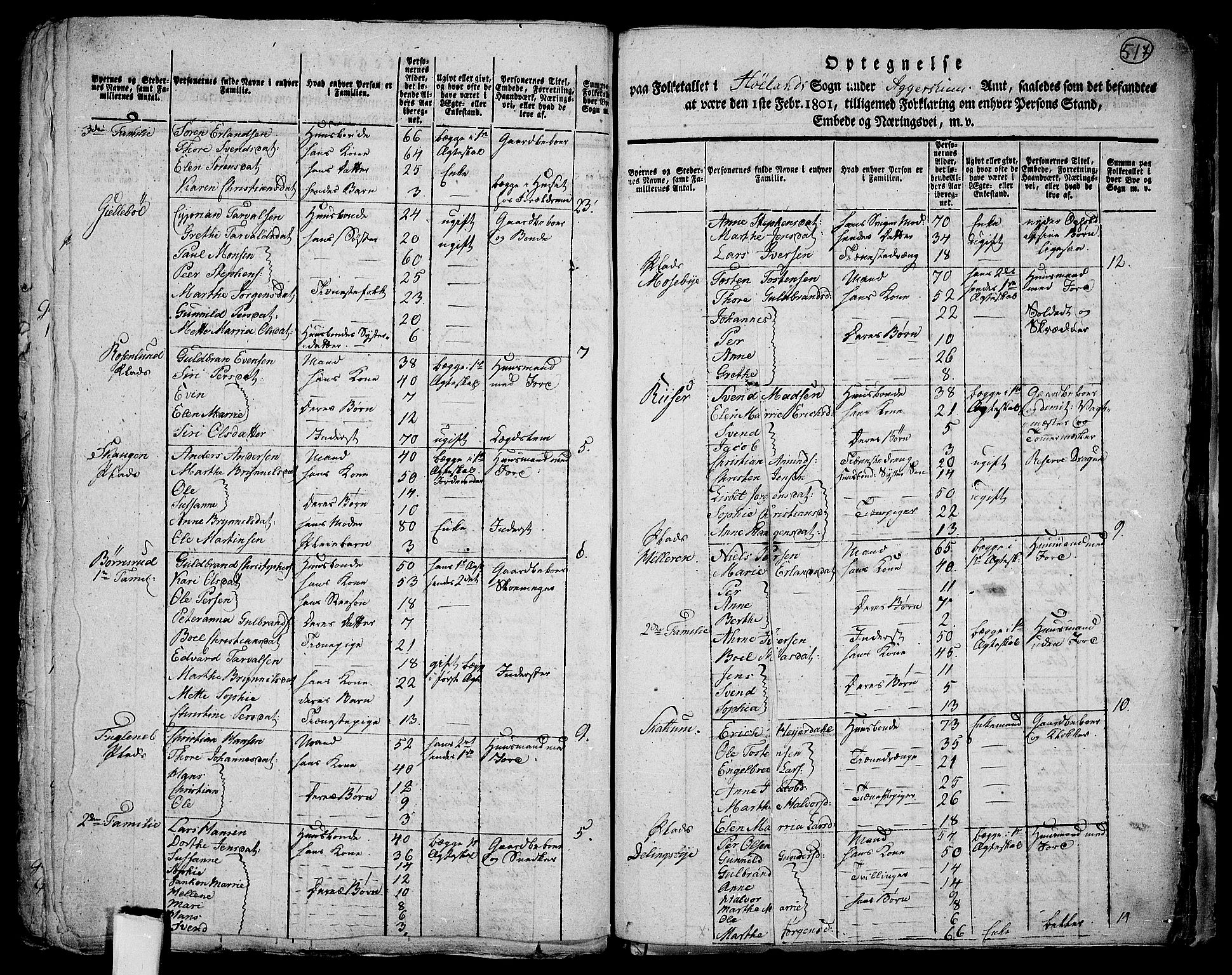 RA, 1801 census for 0221P Høland, 1801, p. 516b-517a
