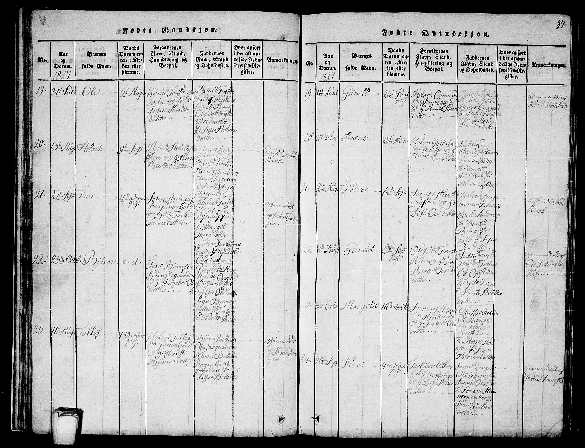 Vinje kirkebøker, SAKO/A-312/G/Ga/L0001: Parish register (copy) no. I 1, 1814-1843, p. 37