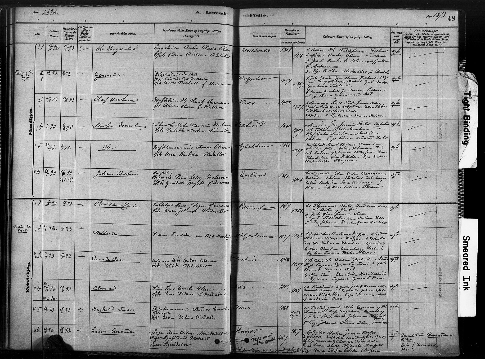 Austre Moland sokneprestkontor, AV/SAK-1111-0001/F/Fa/Fab/L0001: Parish register (official) no. A 1, 1878-1898, p. 48