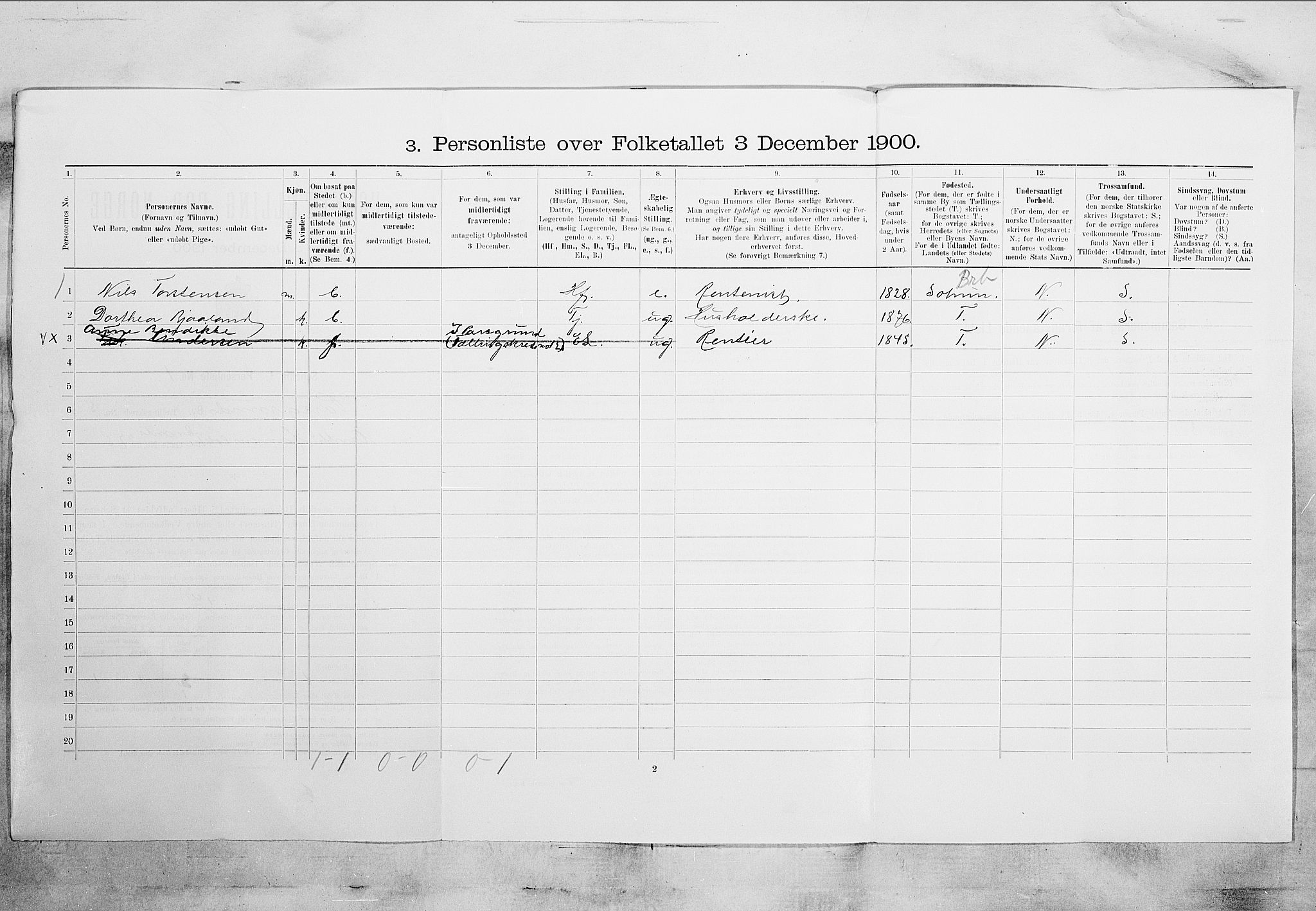 SAKO, 1900 census for Porsgrunn, 1900, p. 905