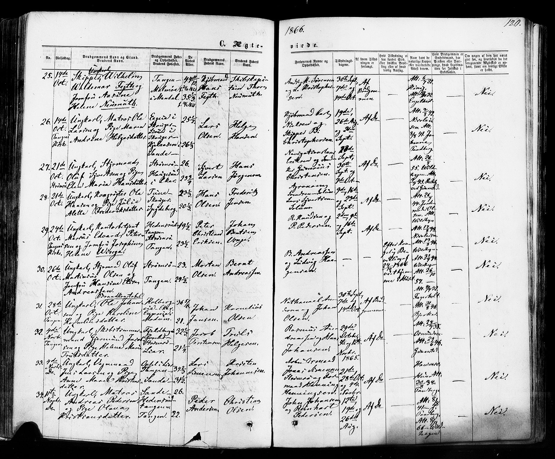 Strømsø kirkebøker, SAKO/A-246/F/Fa/L0018: Parish register (official) no. I 18, 1865-1878, p. 120