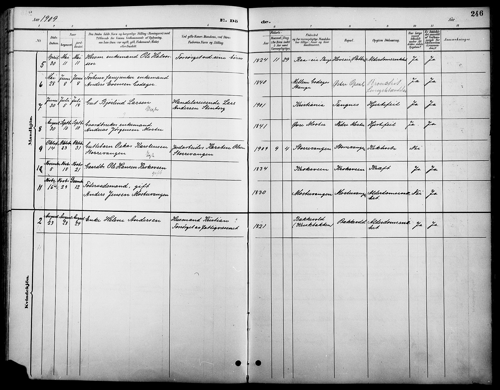 Stange prestekontor, SAH/PREST-002/L/L0011: Parish register (copy) no. 11, 1895-1917, p. 246