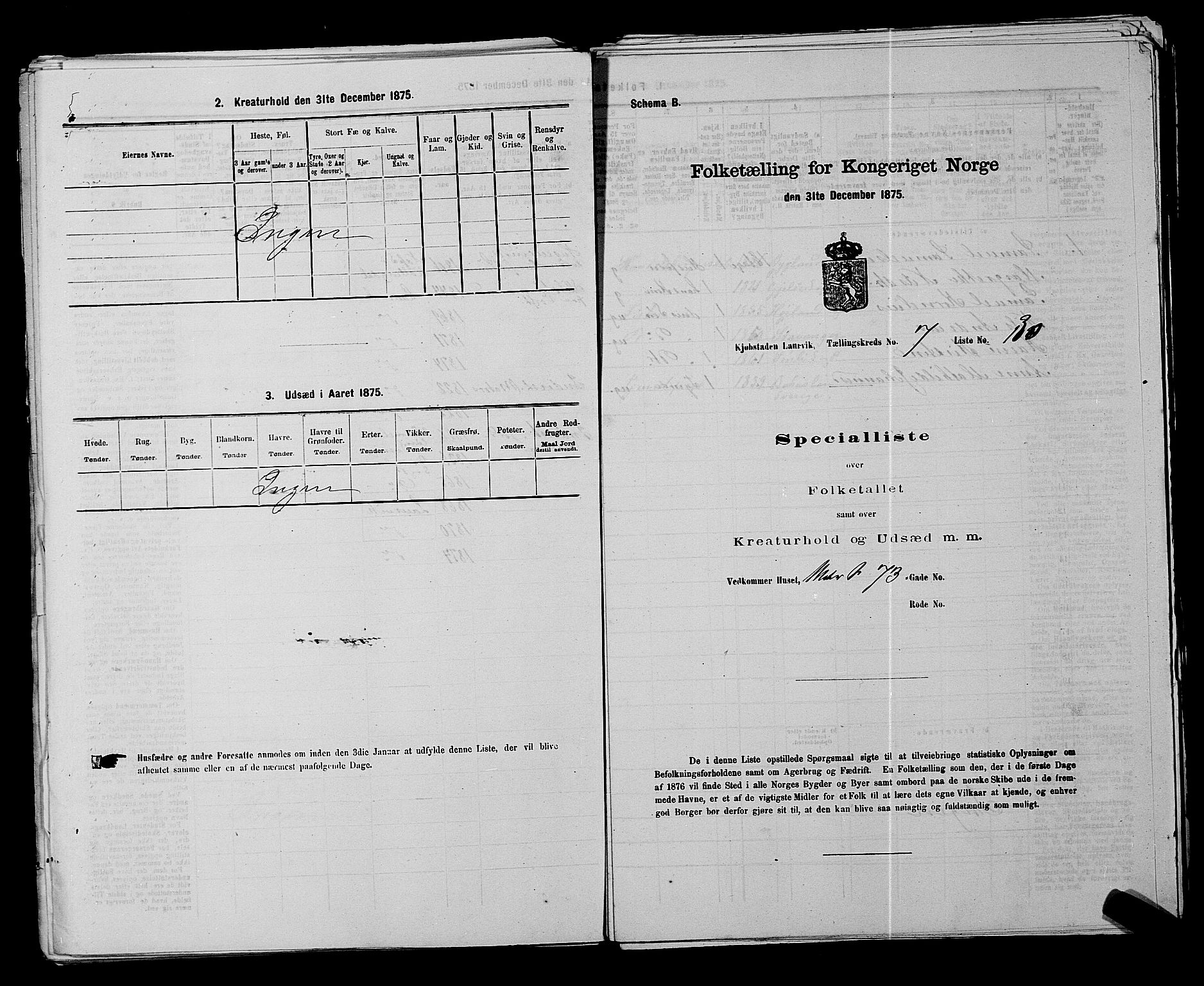 SAKO, 1875 census for 0707P Larvik, 1875, p. 1707