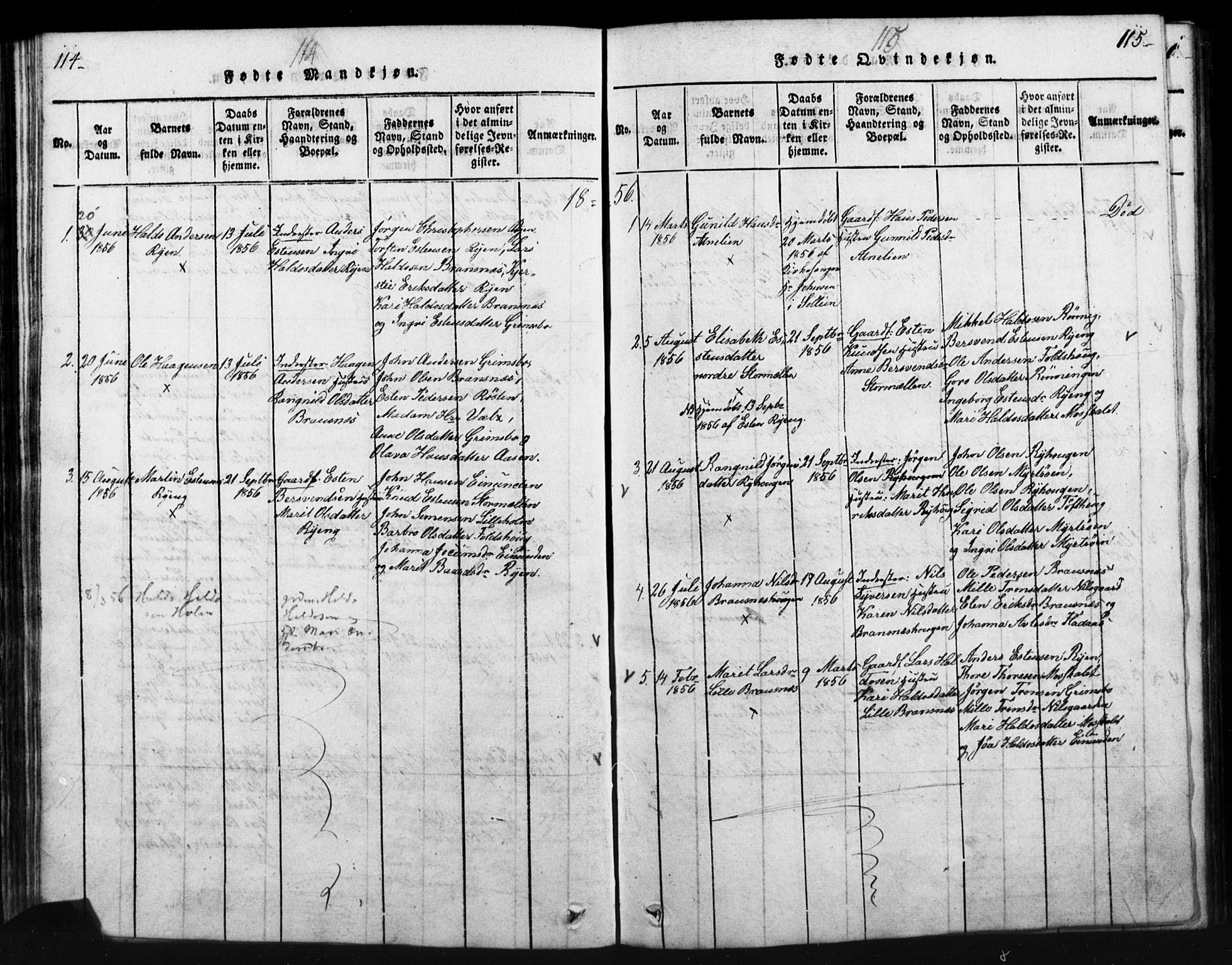 Tynset prestekontor, SAH/PREST-058/H/Ha/Hab/L0003: Parish register (copy) no. 3, 1814-1862, p. 114-115