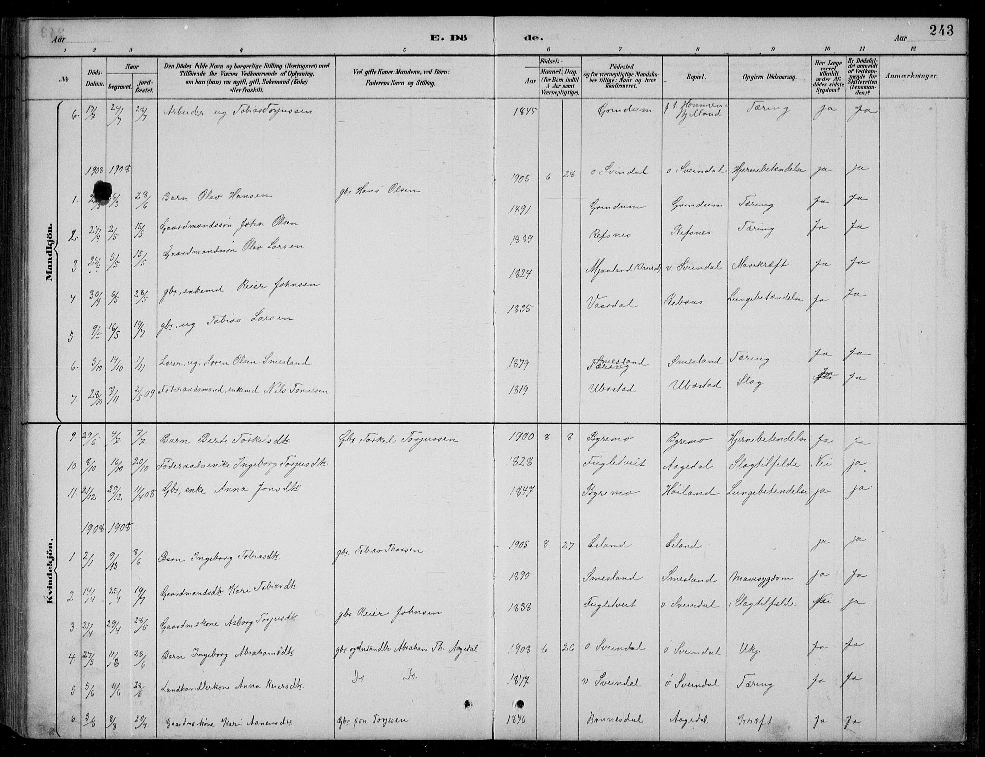 Bjelland sokneprestkontor, SAK/1111-0005/F/Fb/Fbc/L0003: Parish register (copy) no. B 3, 1887-1924, p. 243